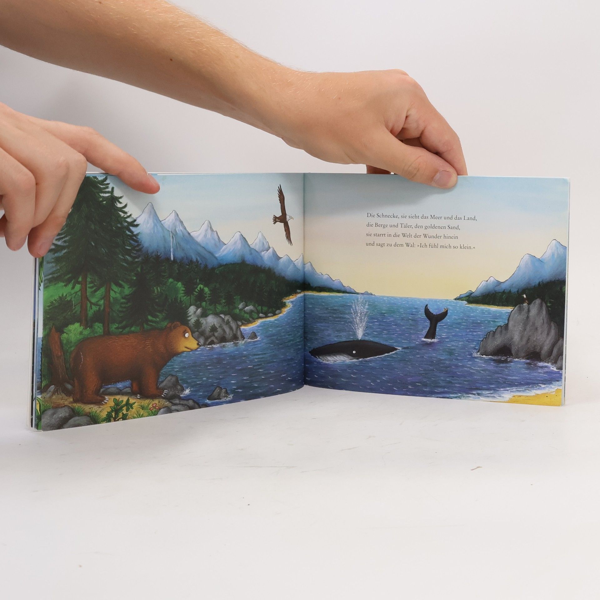 Axel Scheffler Die Schnecke und der Buckelwal