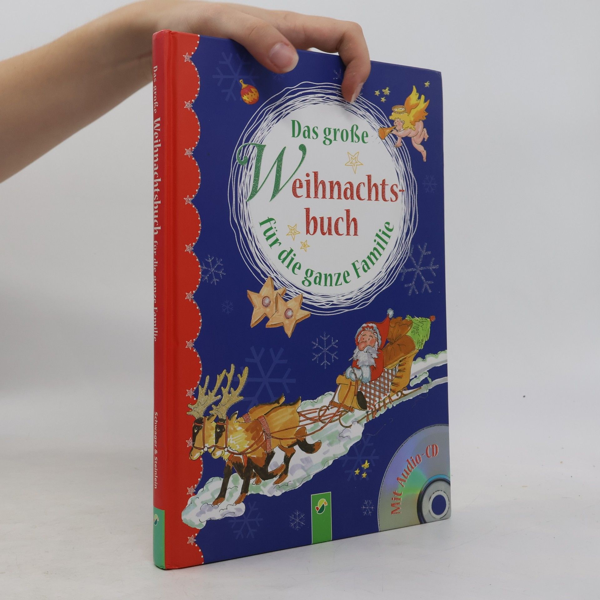 Ingrid Pabst Das große Weihnachtsbuch für die ganze Familie