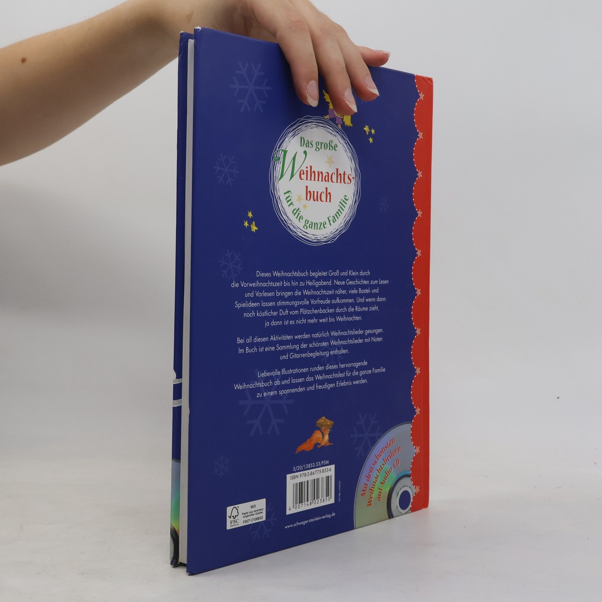 Ingrid Pabst Das große Weihnachtsbuch für die ganze Familie