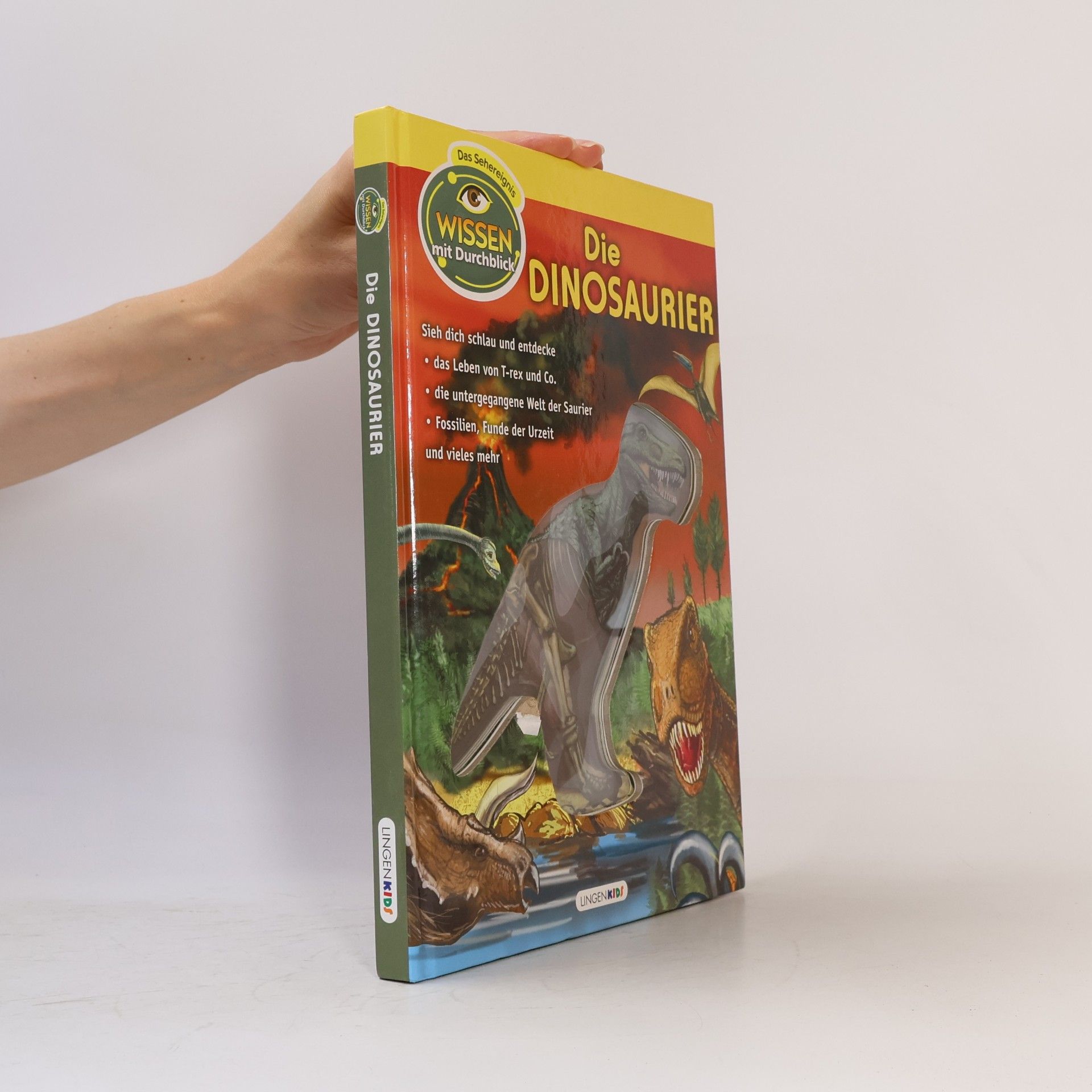 Autorenkollektiv Die Dinosaurier
