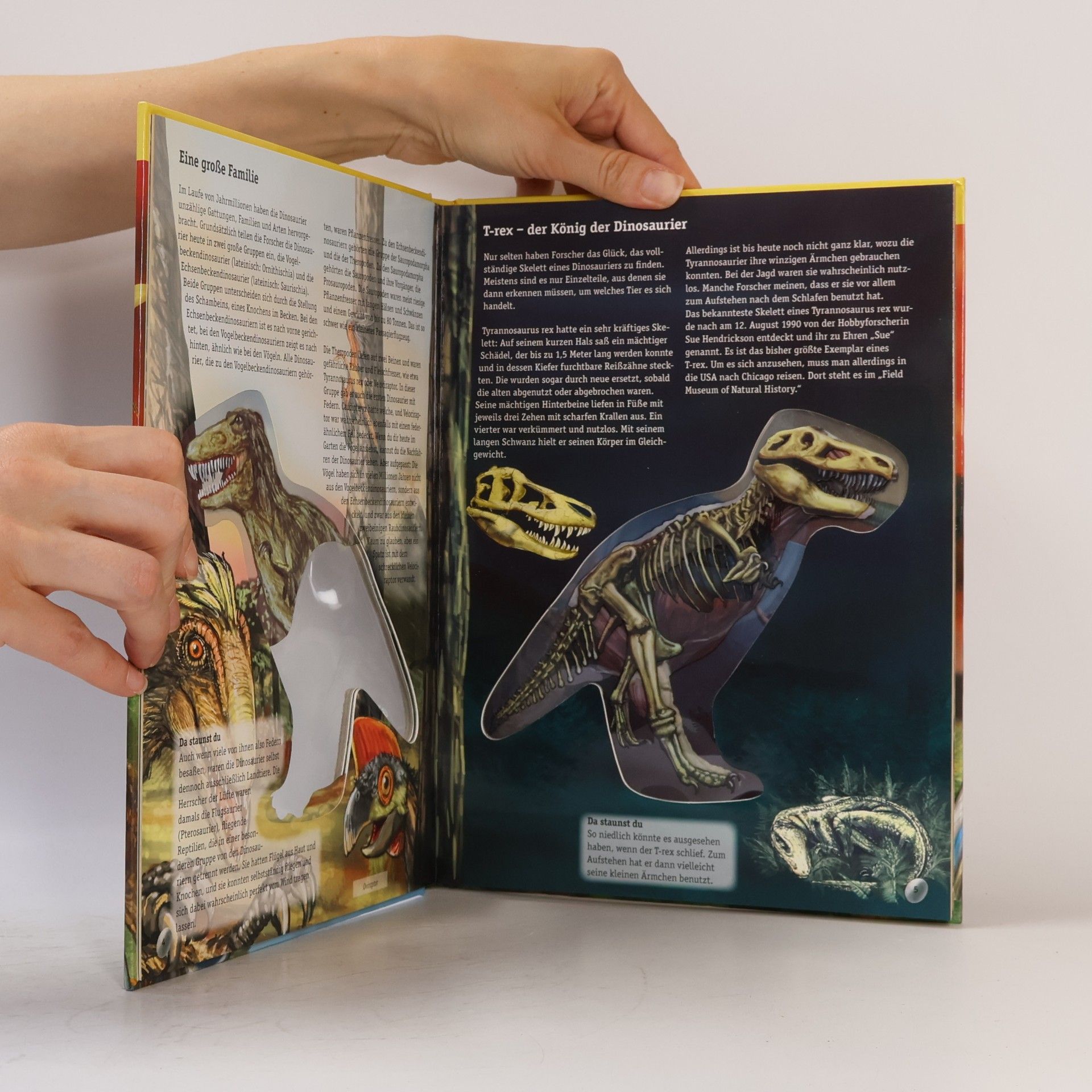 Kolektiv autorů Die Dinosaurier