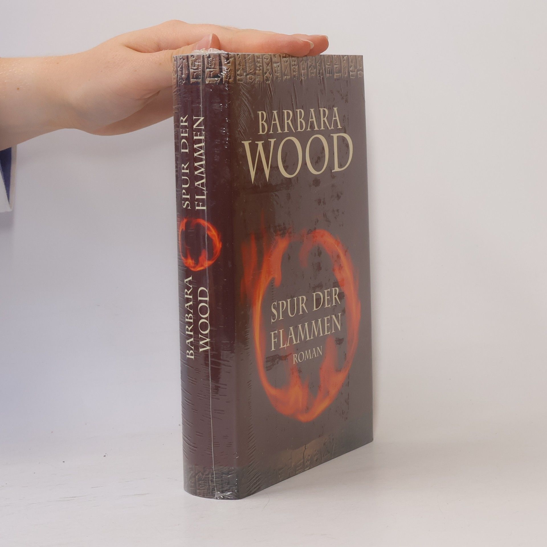 Barbara Wood Spur der Flammen