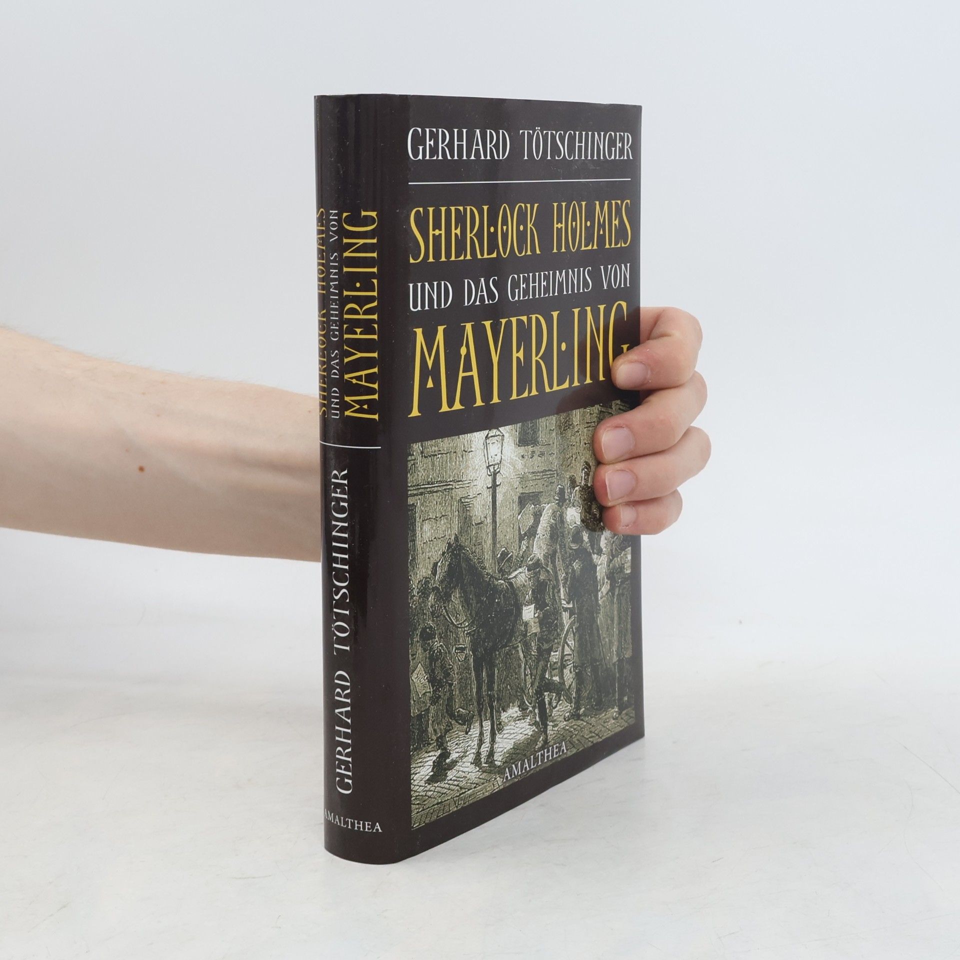 Gerhard Tötschinger Sherlock Holmes und das Geheimnis von Mayerling