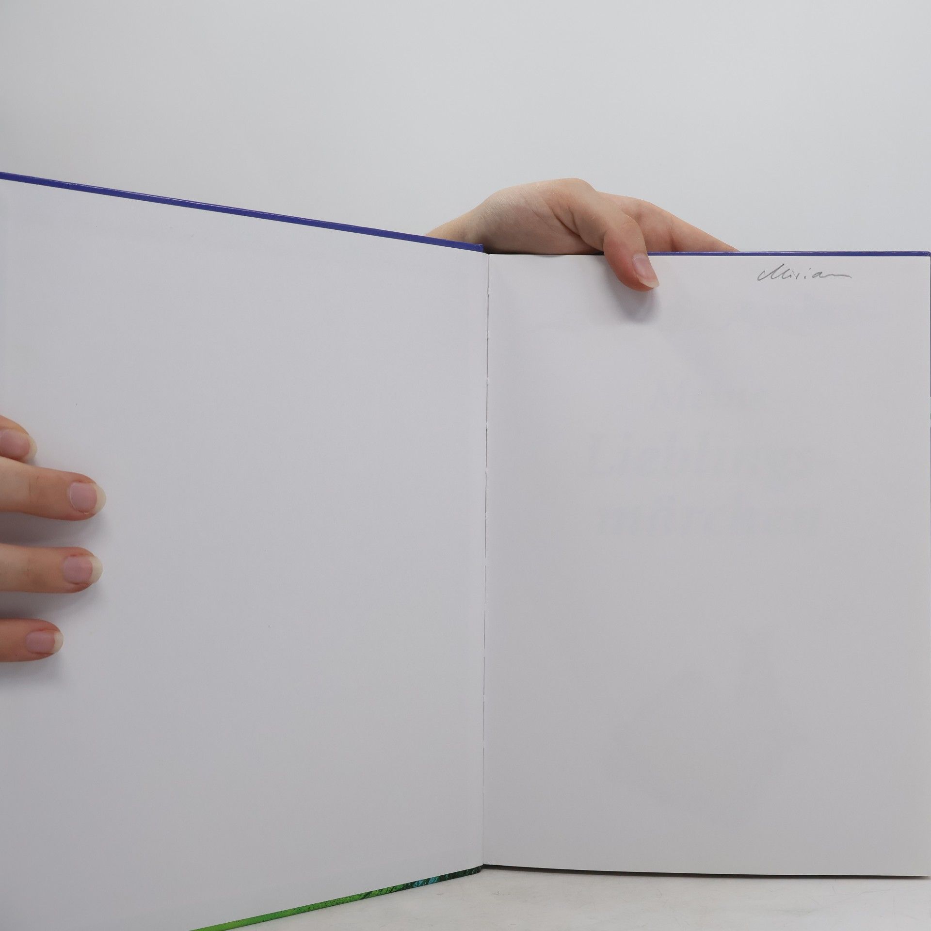 Autores varios Meine Lieblingsmärchen