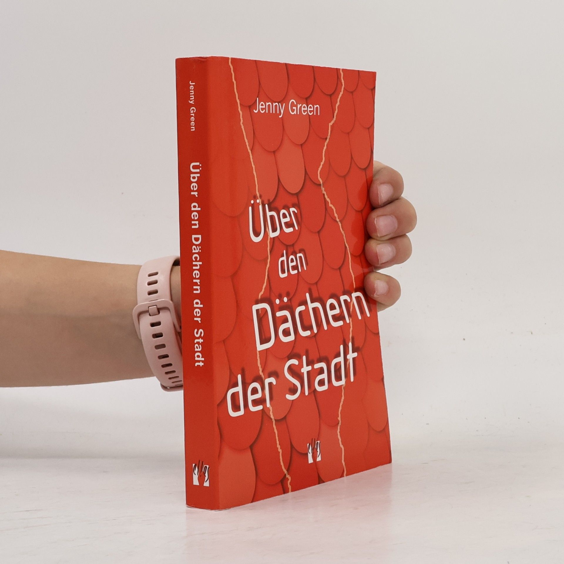 Jenny Green Über den Dächern der Stadt