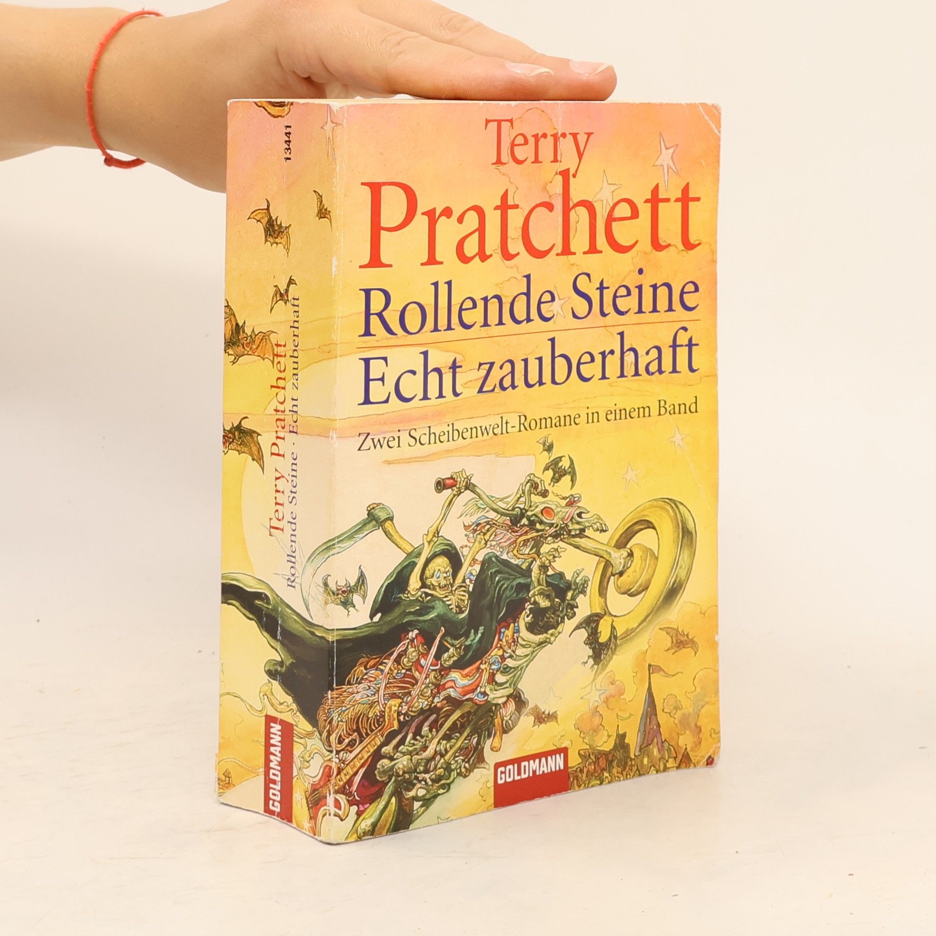 Terry Pratchett Rollende Steine