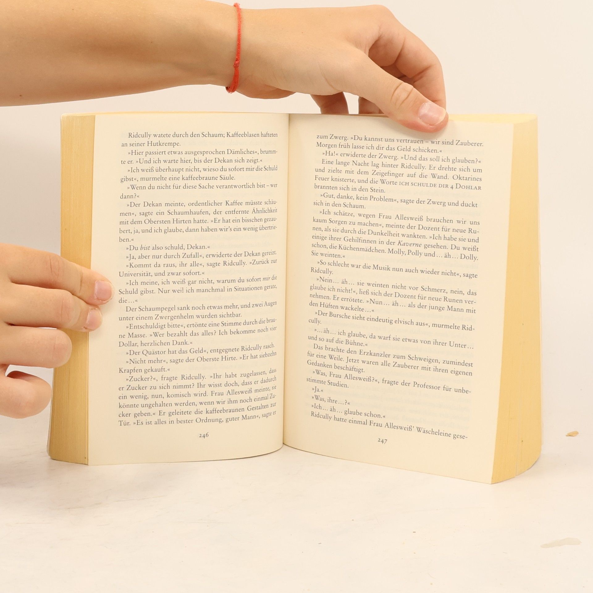 Terry Pratchett Rollende Steine