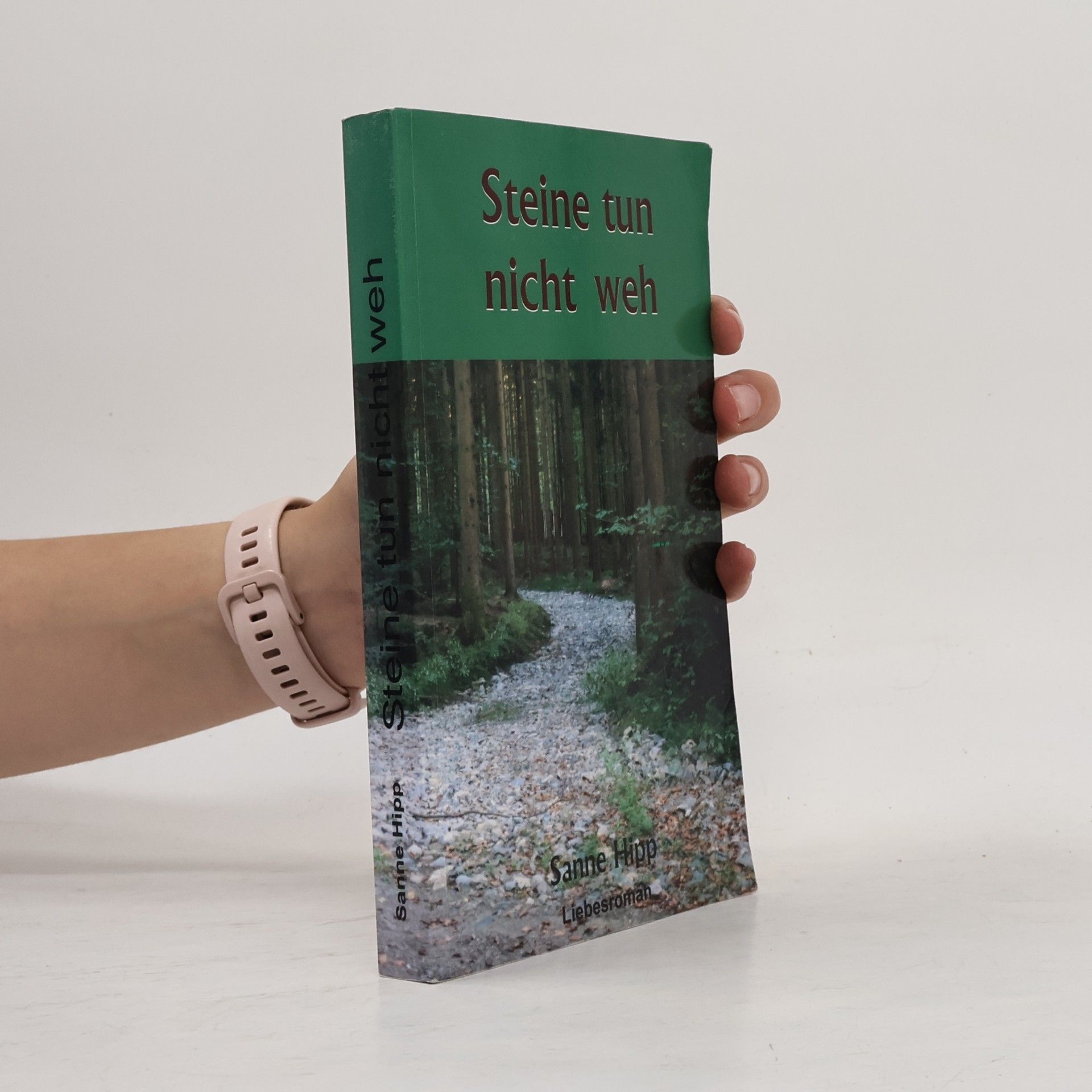Sanne Hipp Steine tun nicht weh