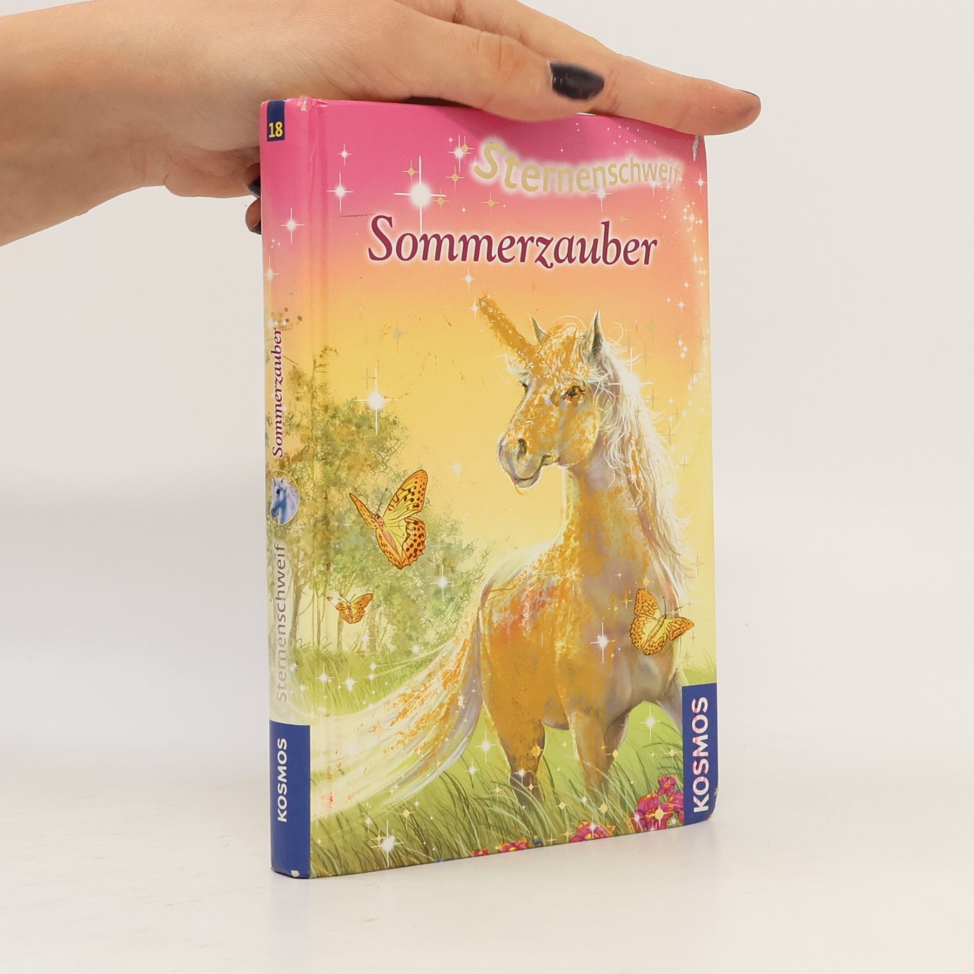 Linda Champan Sternenschweif. Sommerzauber 18