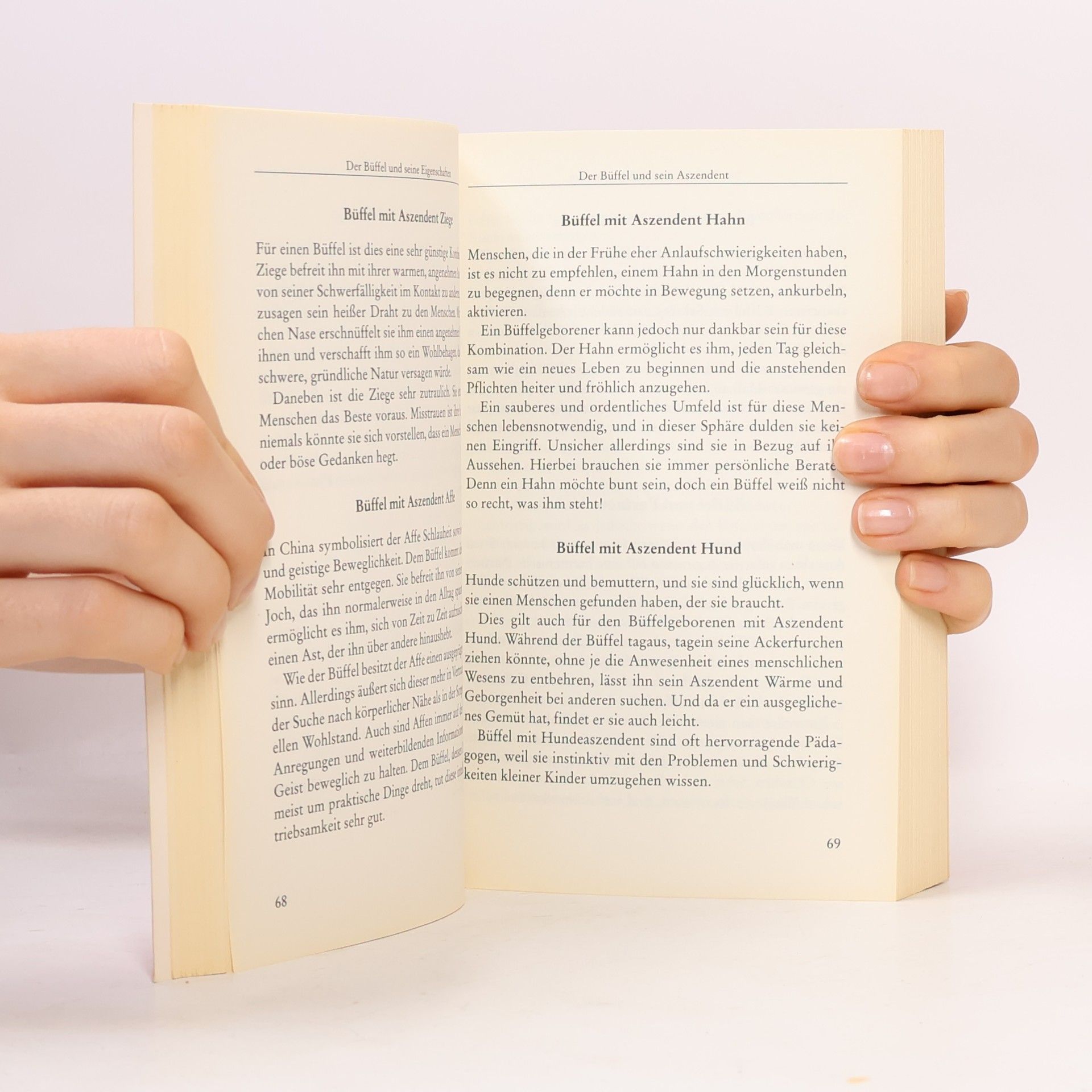 An Kuei Chi Das große Buch der chinesischen Astrologie