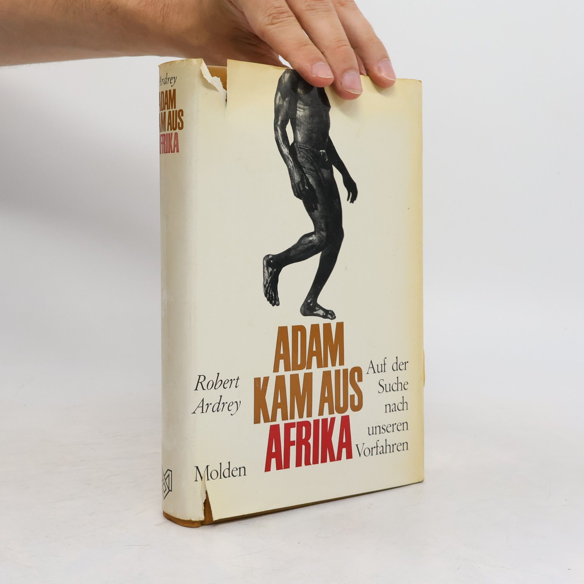 Berdine Ardrey Adam kam aus Afrika: auf Suche nach unseren Vorfahren