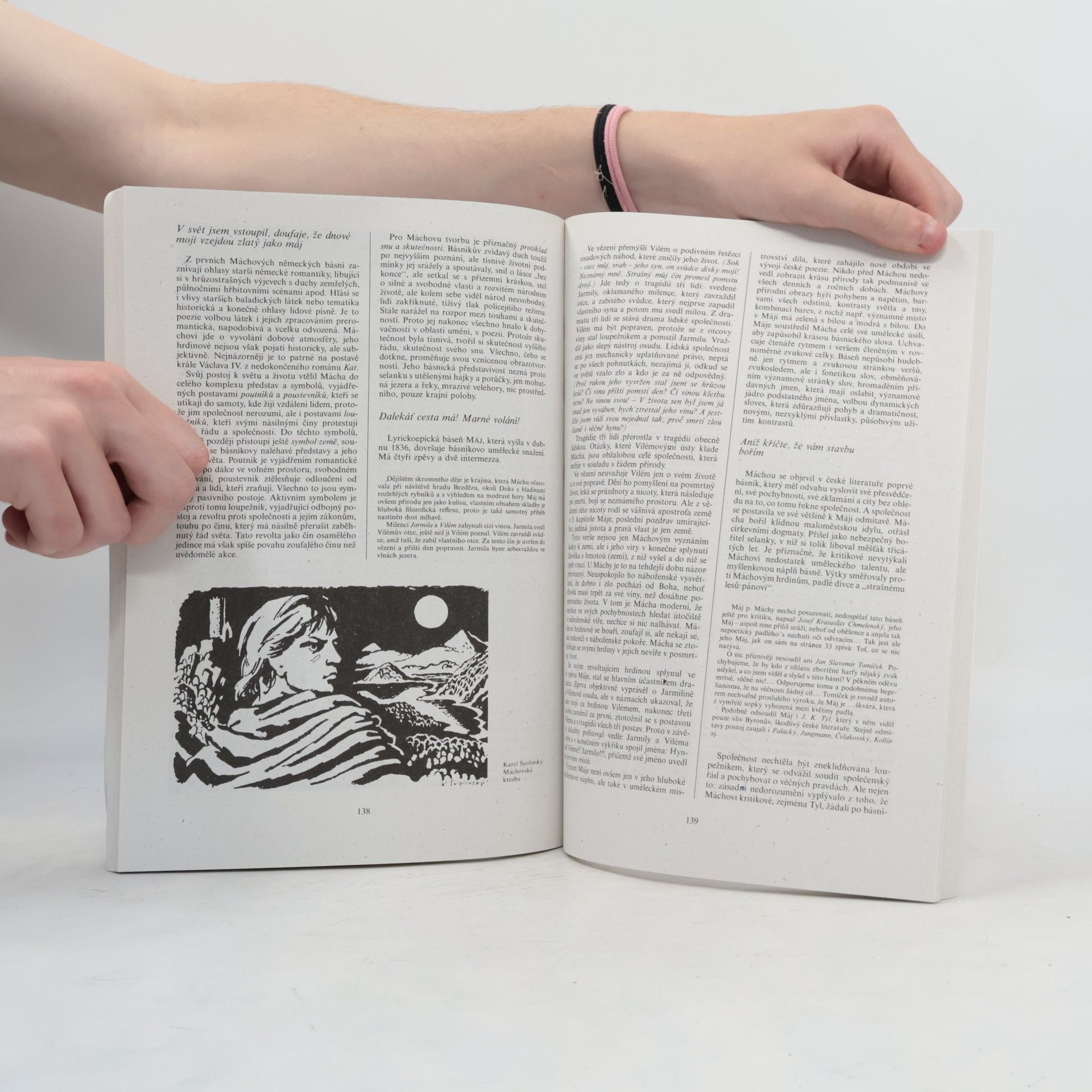 Bohuš Balajka Přehledné dějiny literatury I.