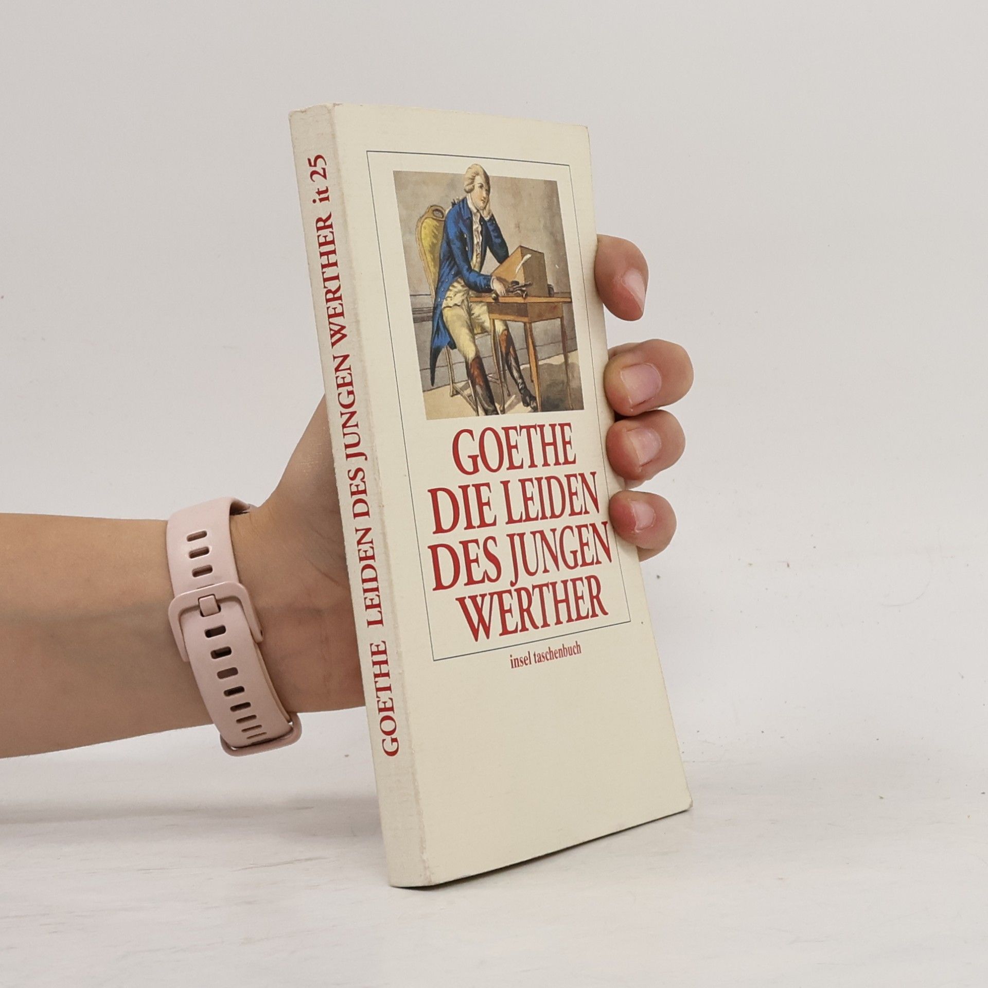 Johann Wolfgang von Goethe Die Leiden des jungen Werther