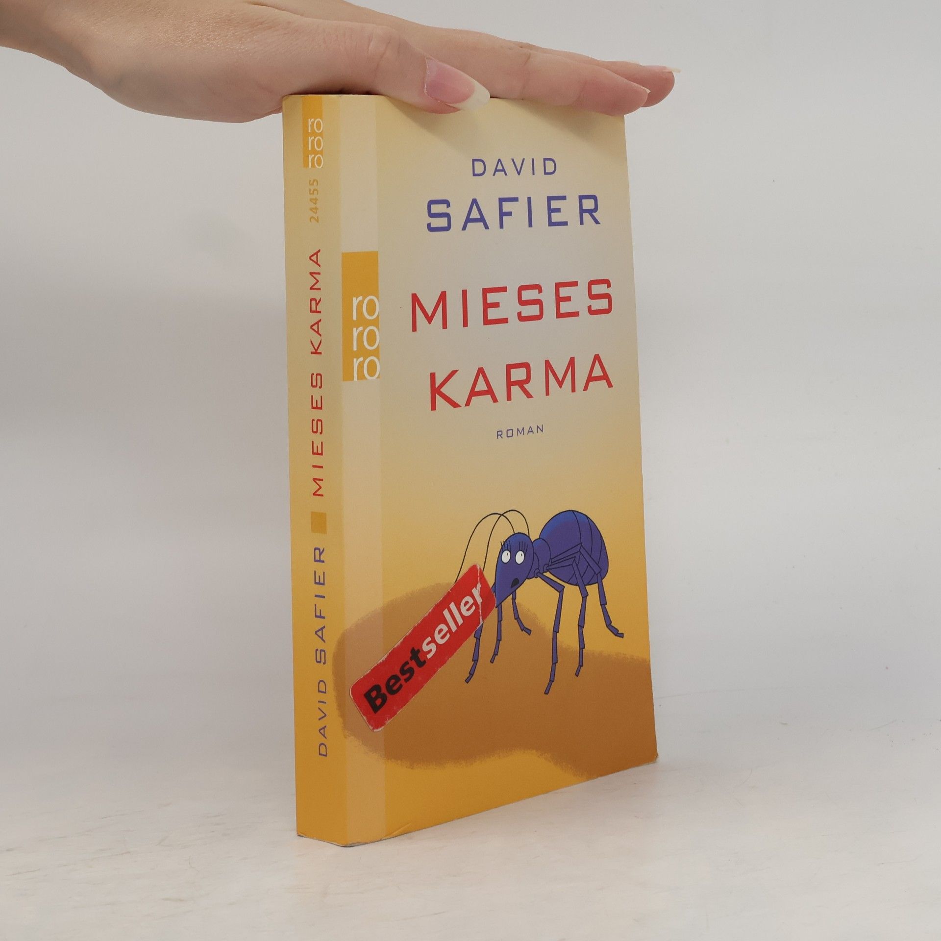 David Safier Mieses Karma