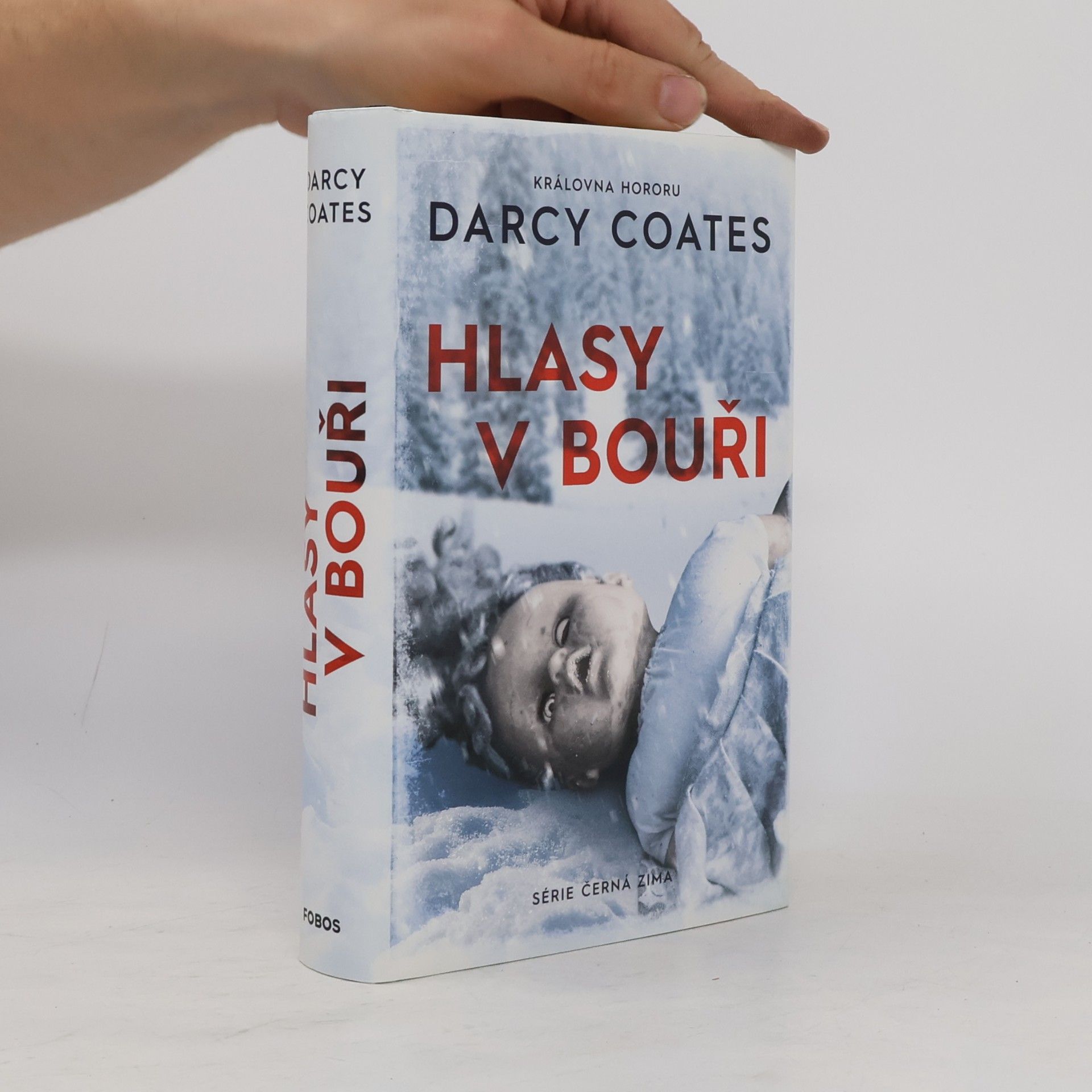 Darcy Coates Hlasy v bouři