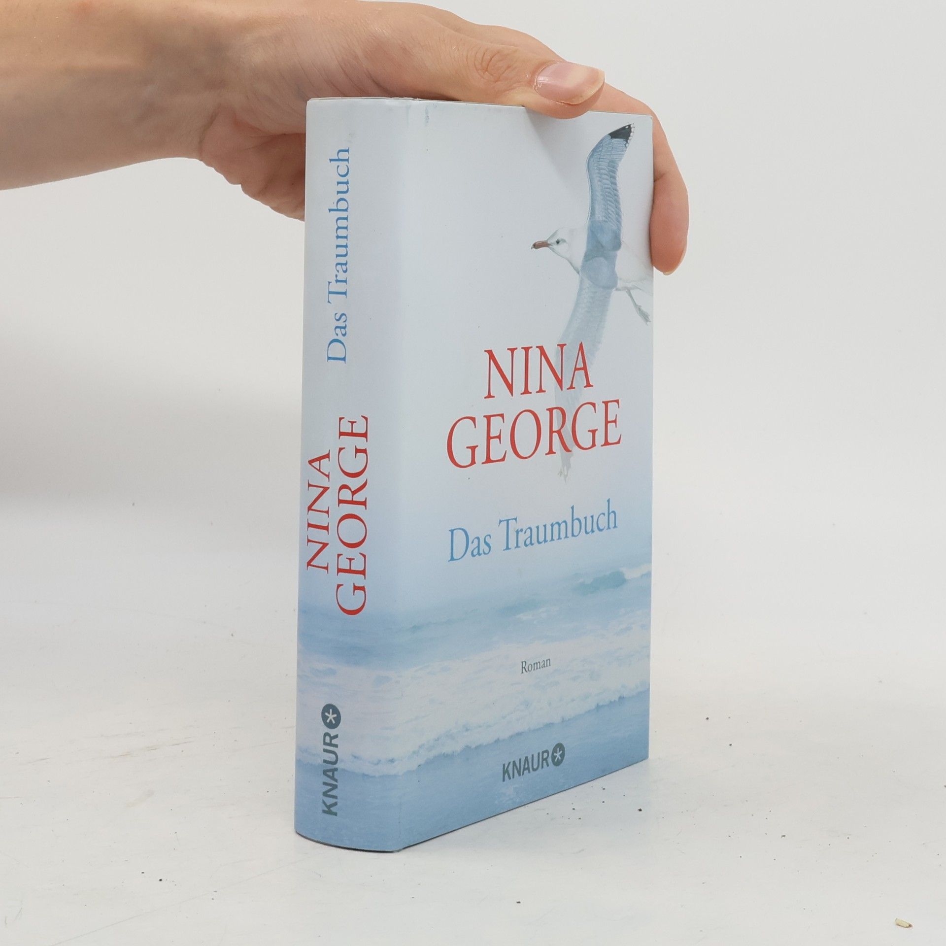 Nina George Das Traumbuch