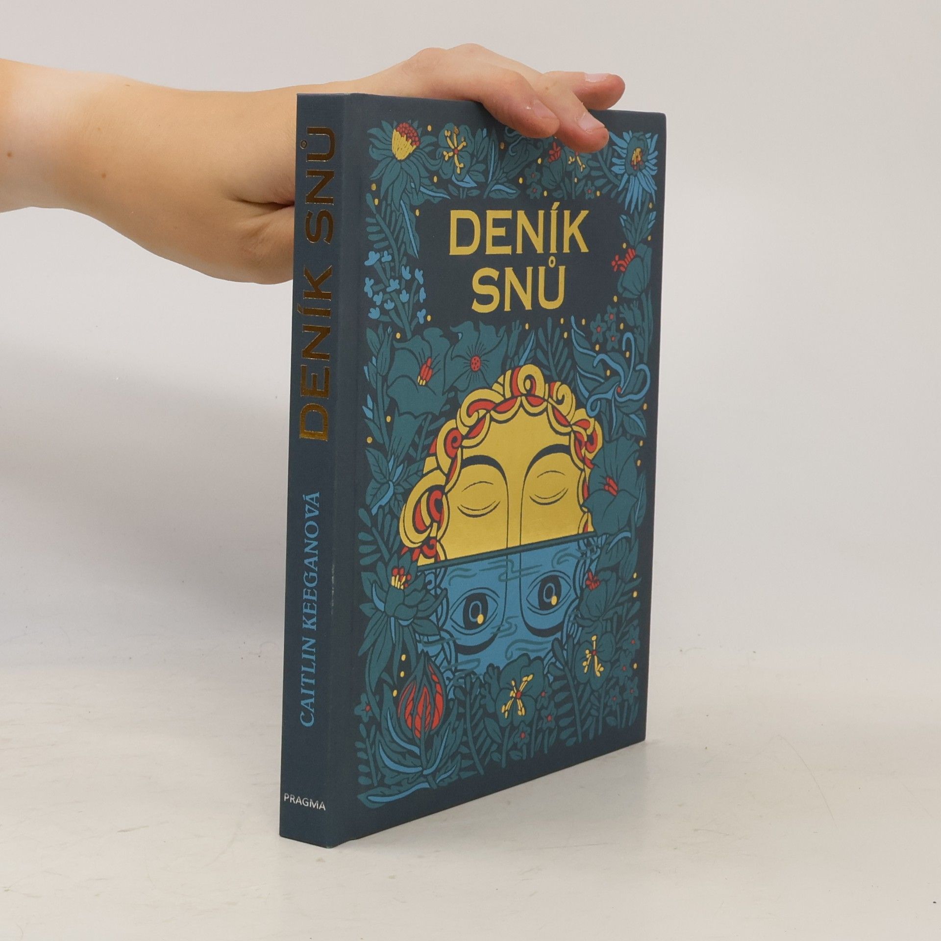 Caitlin Keegan Deník snů