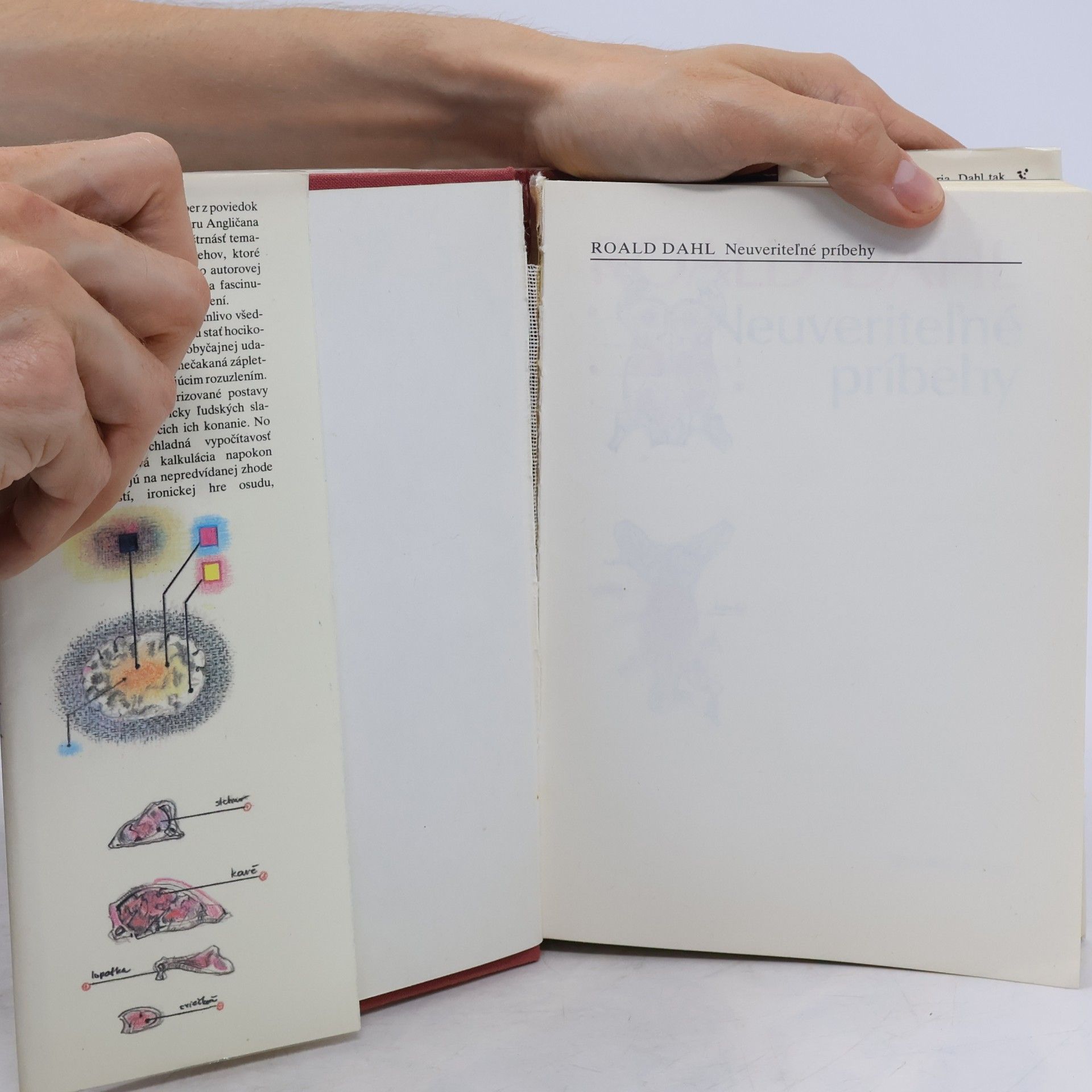 Roald Dahl Neuveriteľné príbehy