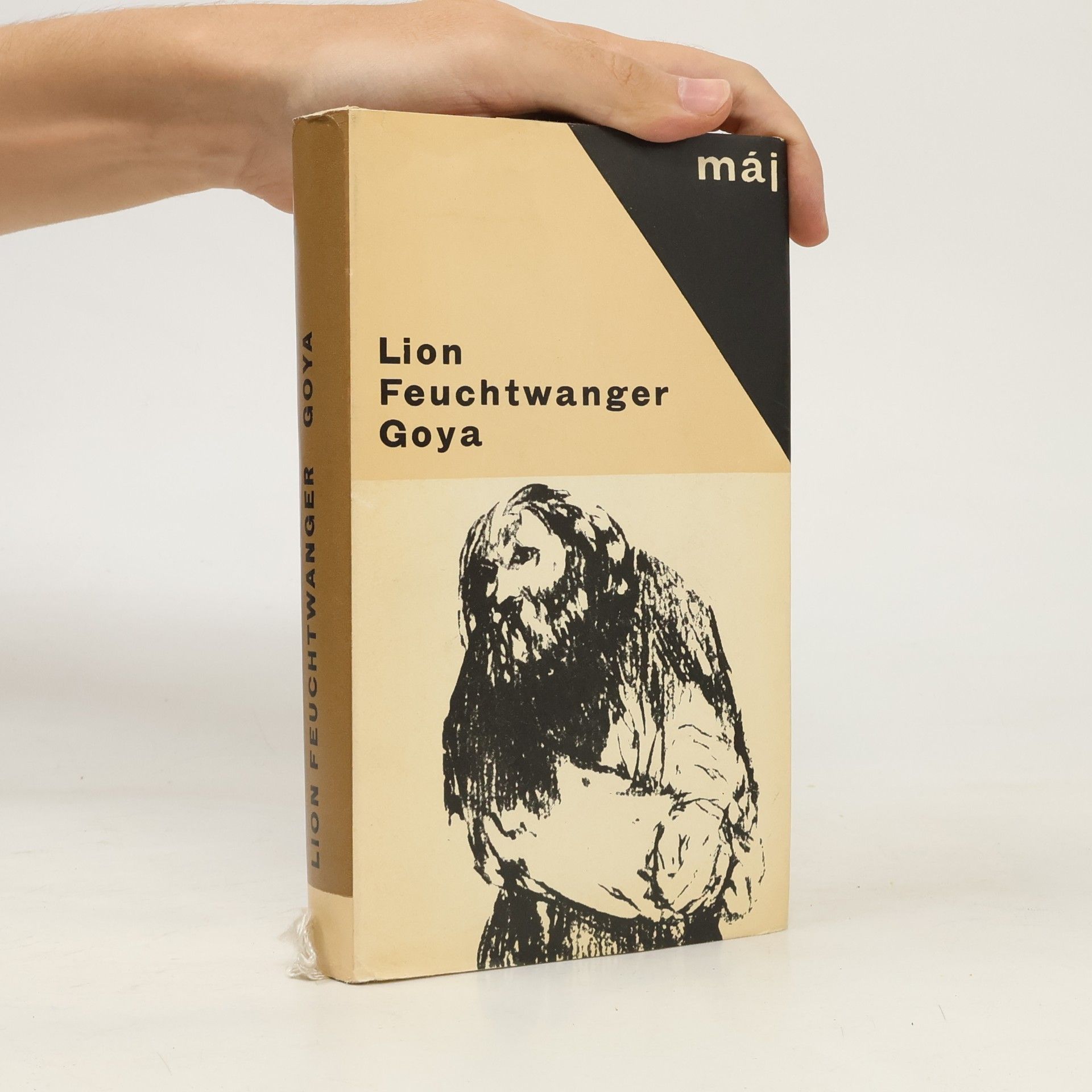 Lion Feuchtwanger Goya