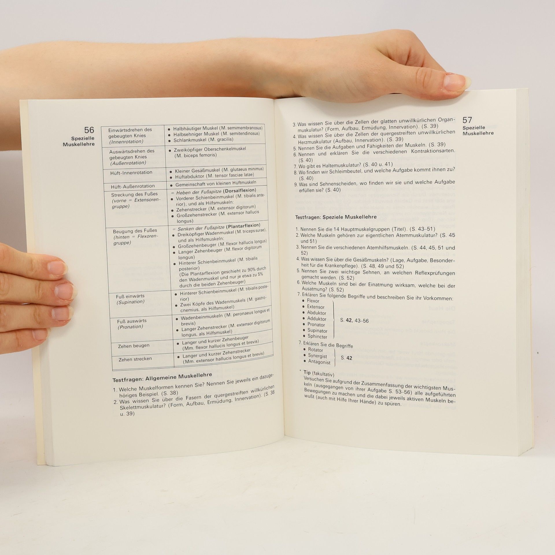 Erica Brühlmann-Jecklin Arbeitsbuch Anatomie und Physiologie für Krankenschwestern, Krankenpfleger u.a. Medizinalfachberufe