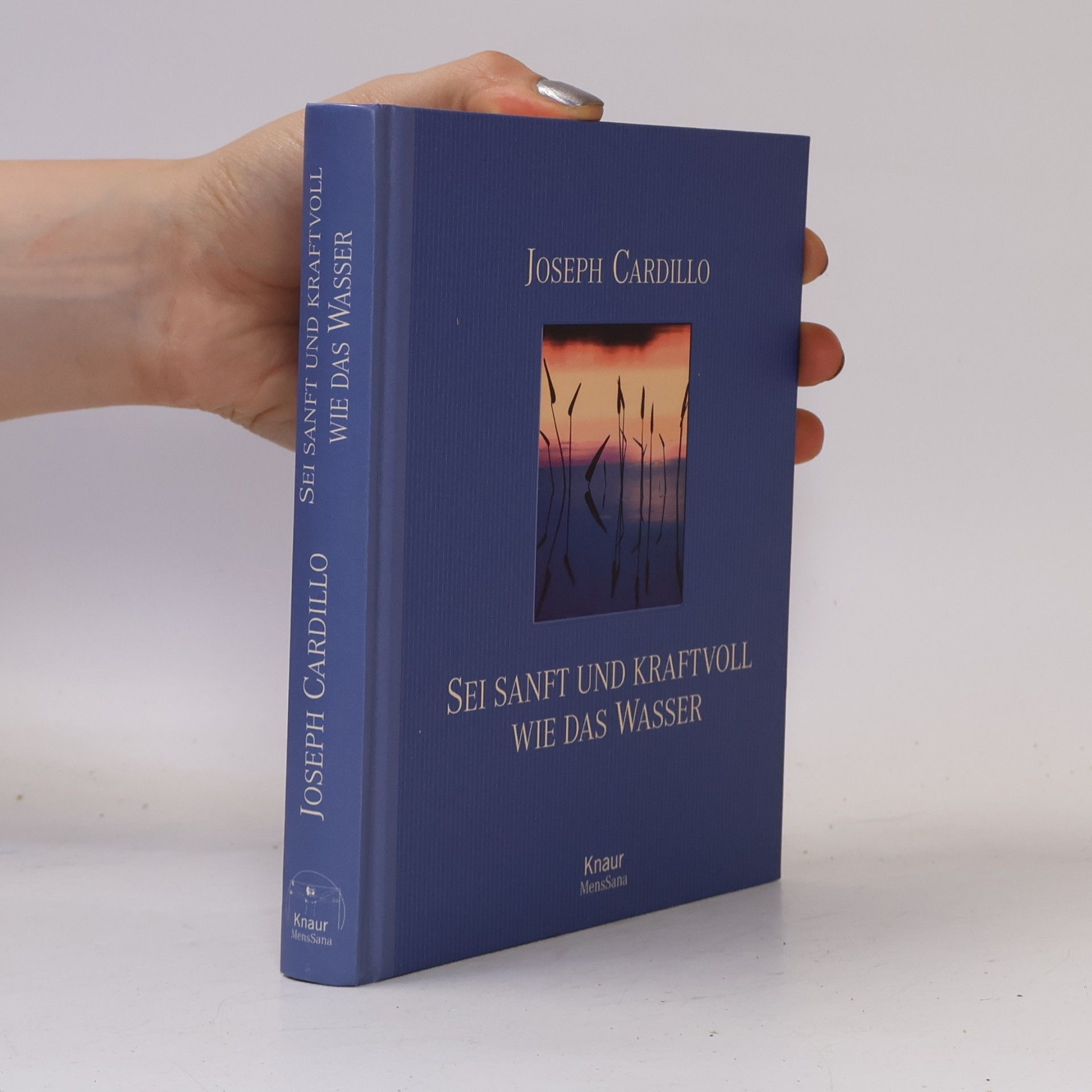 Joseph Cardillo Sei sanft und kraftvoll wie das Wasser