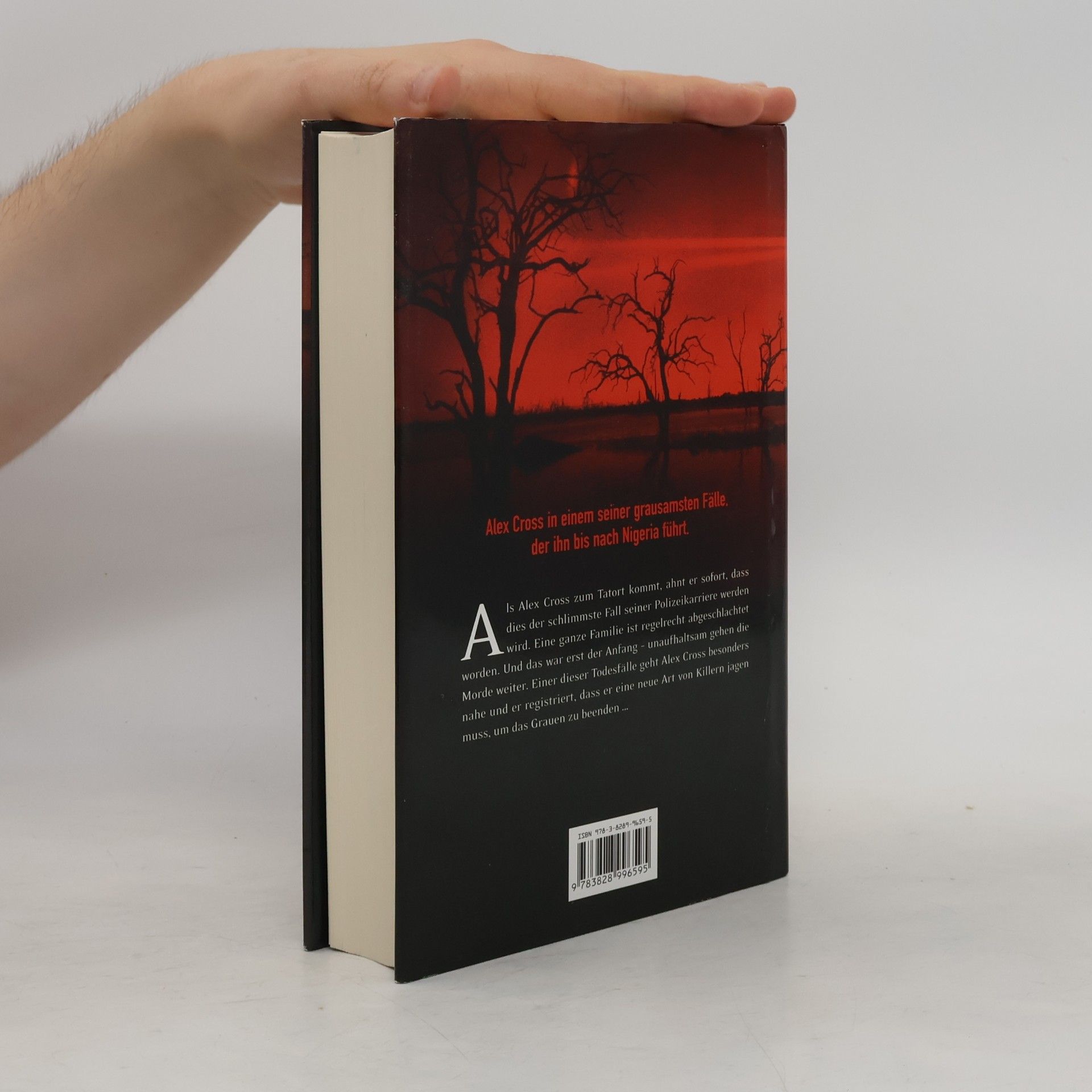 James Patterson Fire