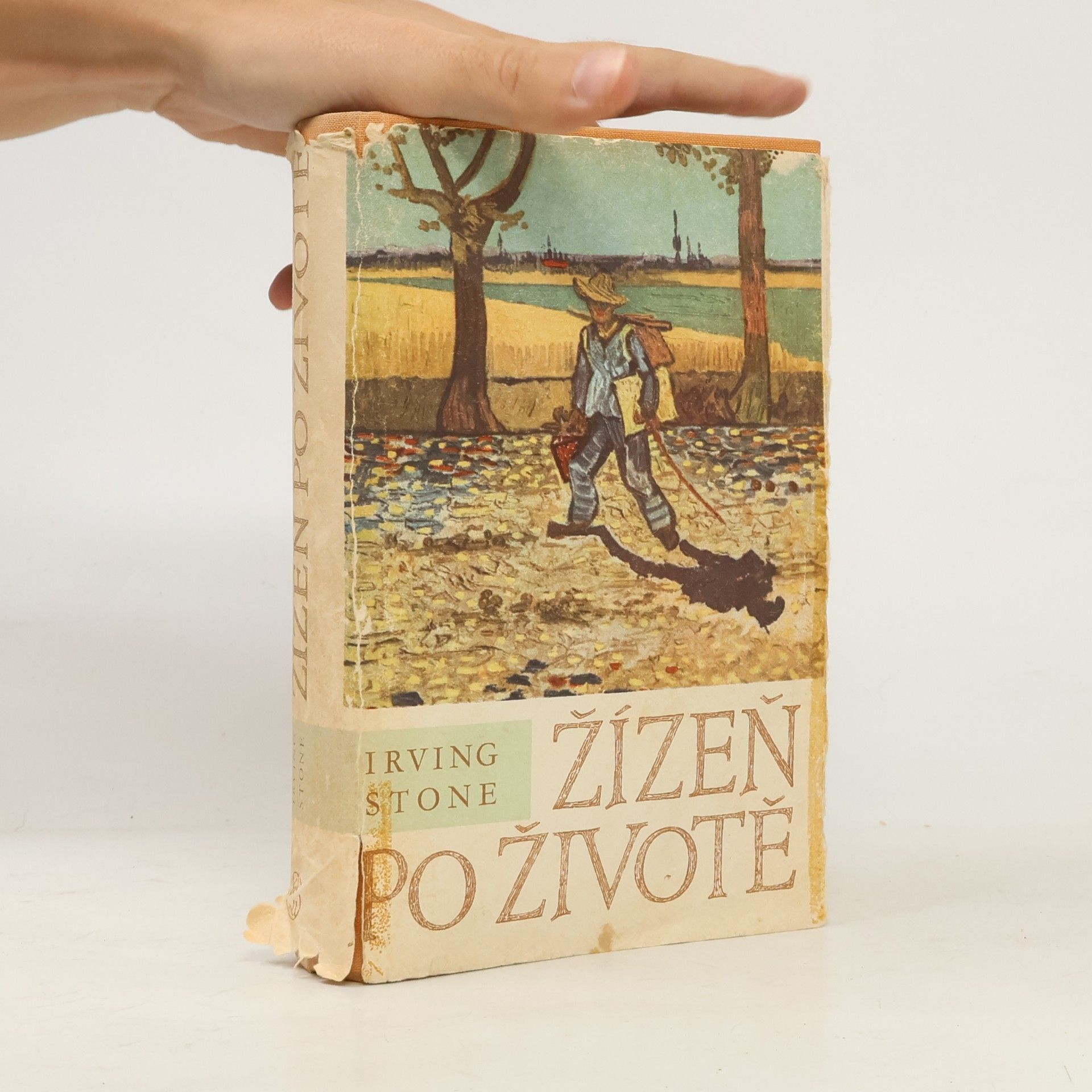 Irving Stone Žízeň po životě