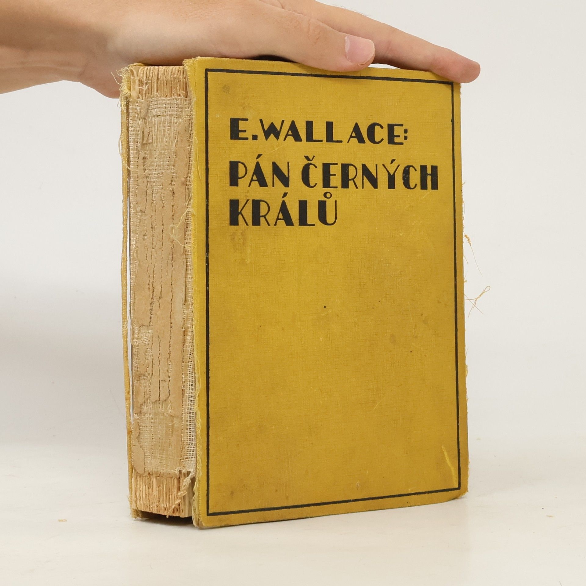 Edgar Wallace Pán černých králů
