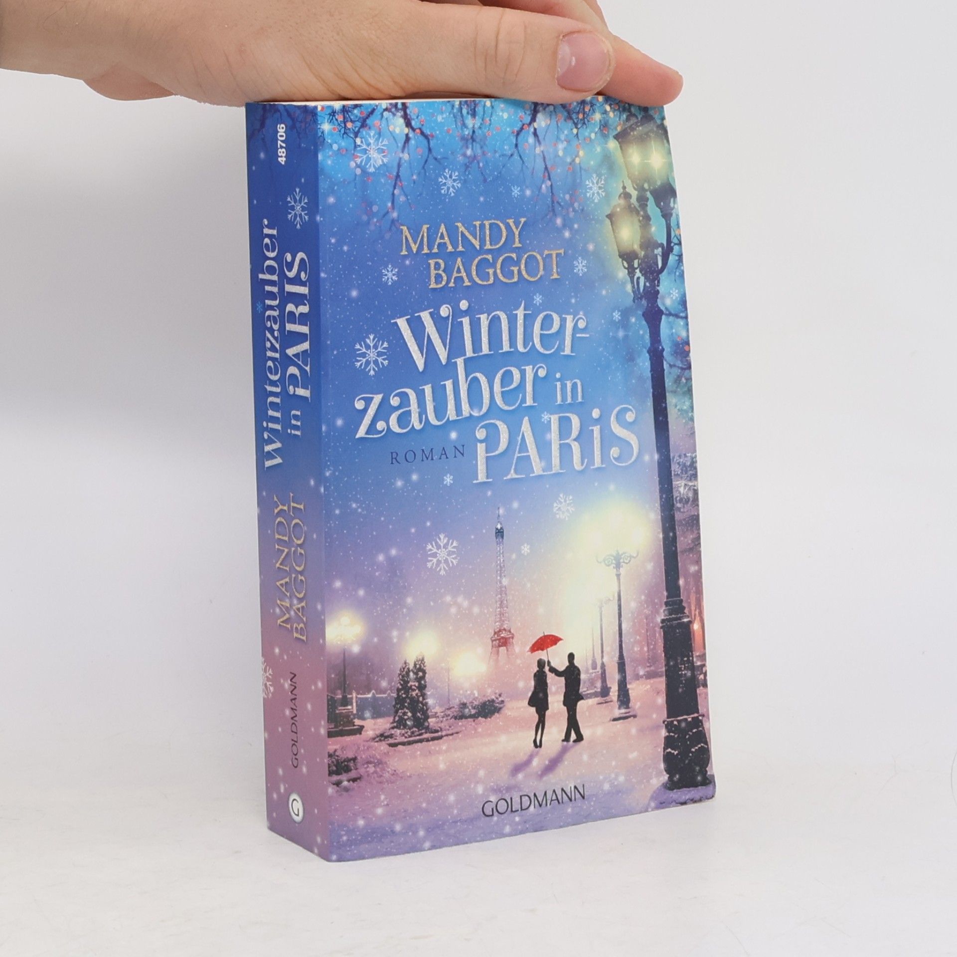 Mandy Baggot Winterzauber in Paris