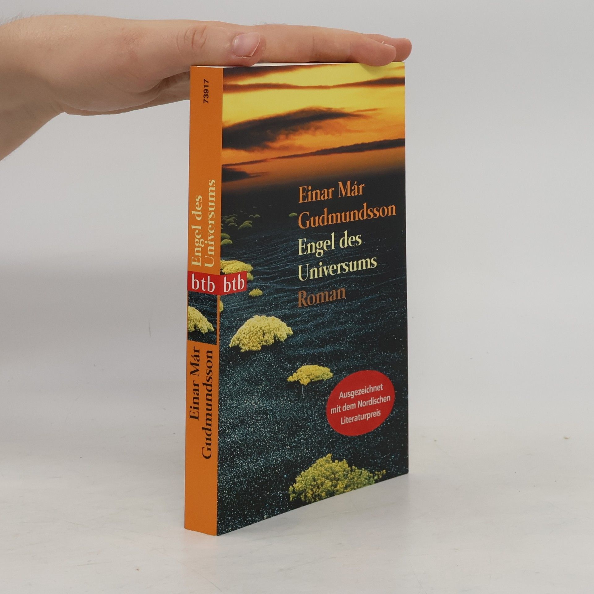 Einar Már Guðmundsson Engel des Universums