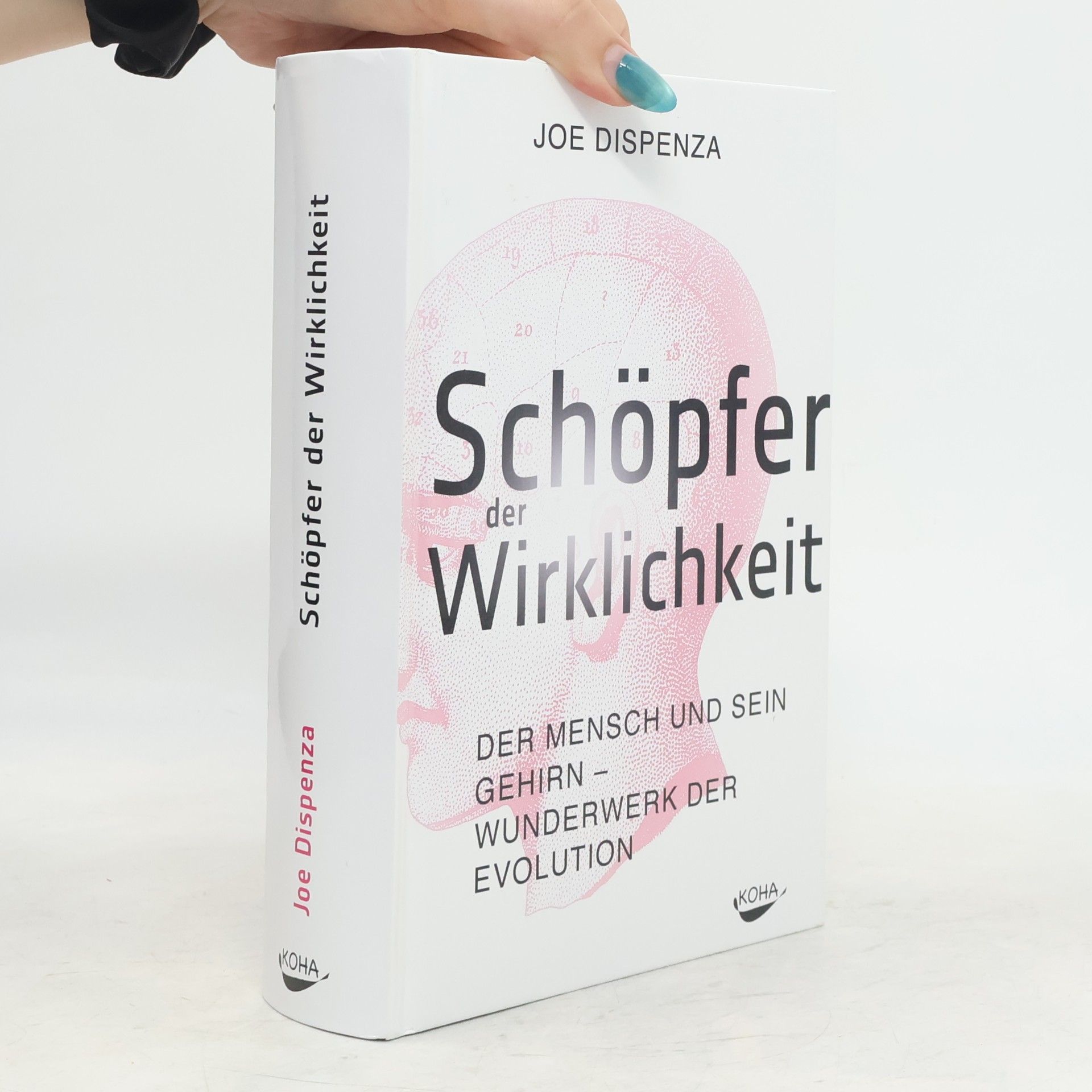 Joe Dispenza Schöpfer der Wirklichkeit
