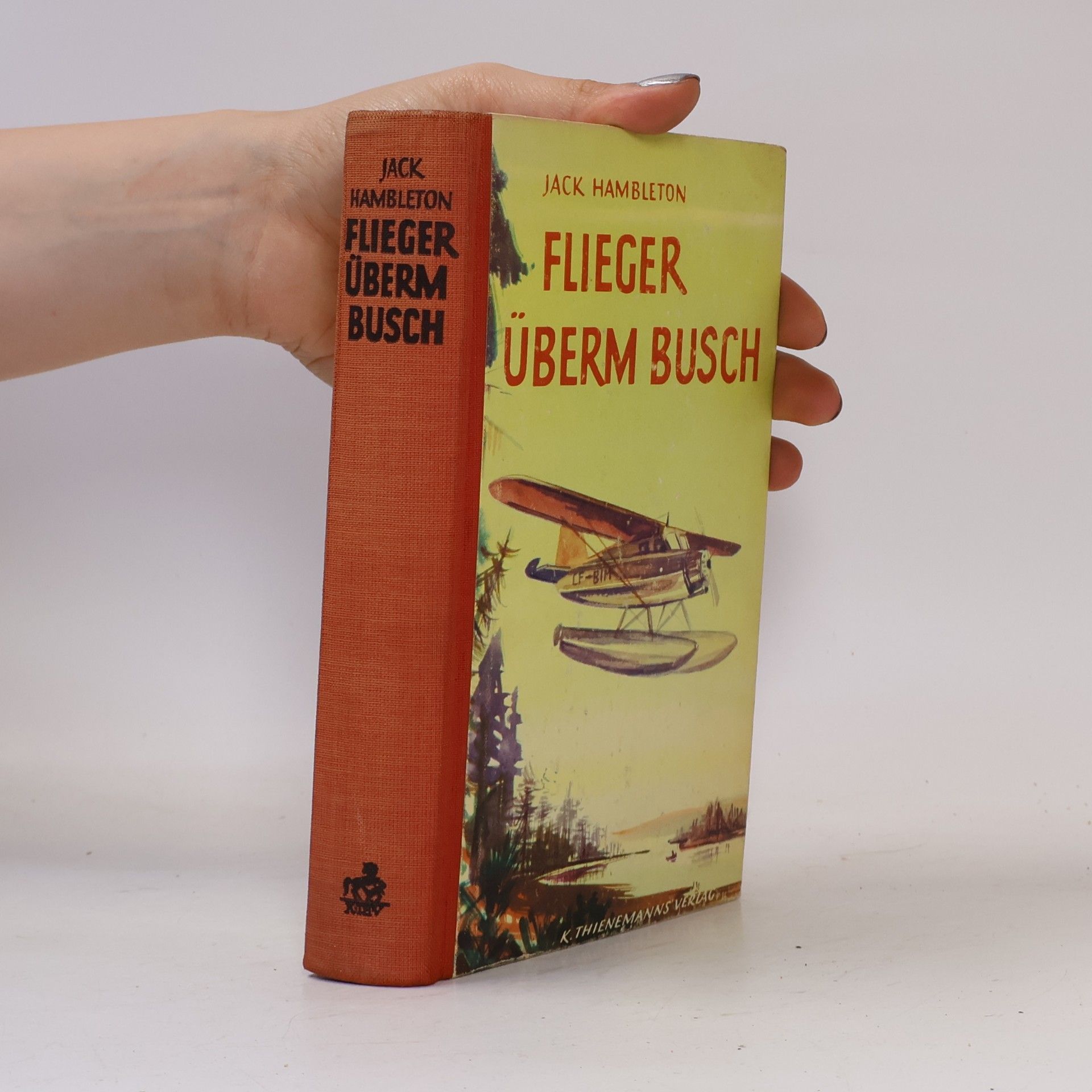 Flieger über busch