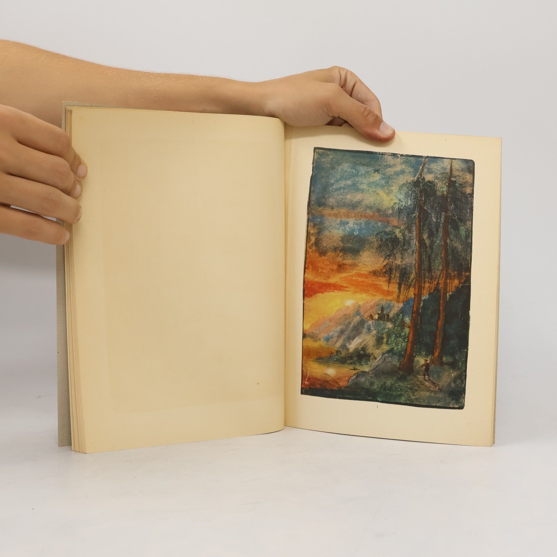 Albrecht Altdorfer Landschaften. Die Silbernen Bücher