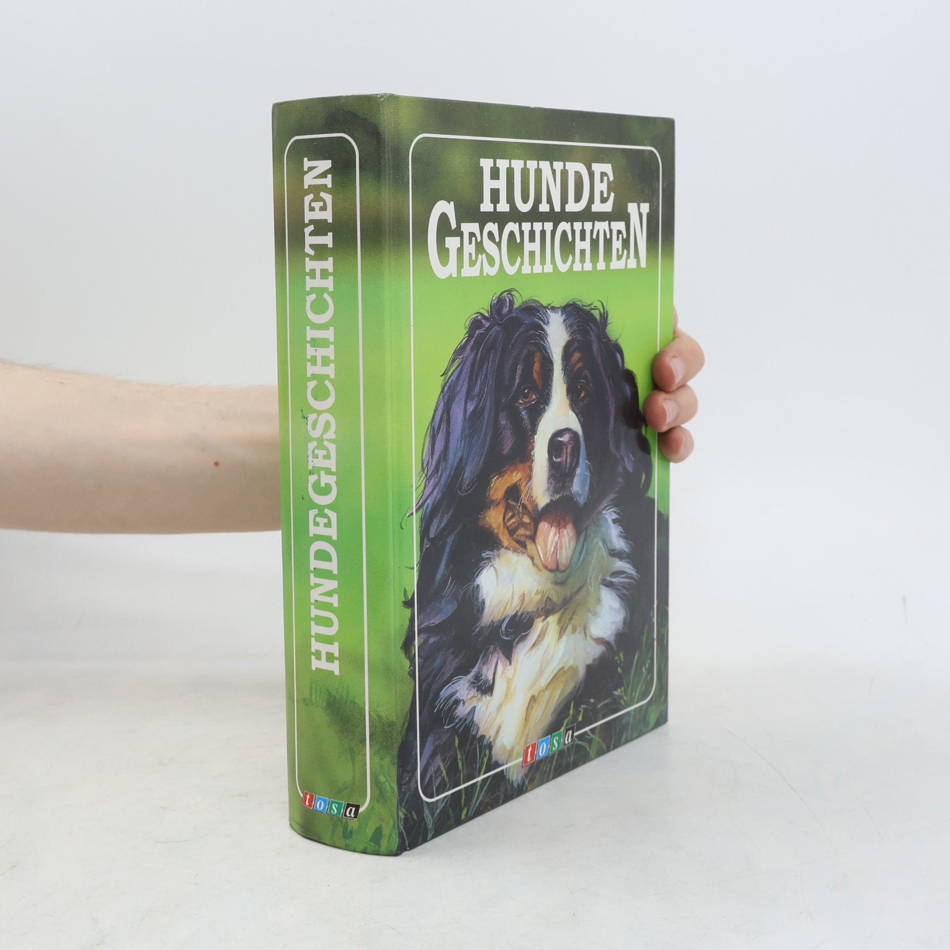 Autorenkollektiv Hunde-Geschichten