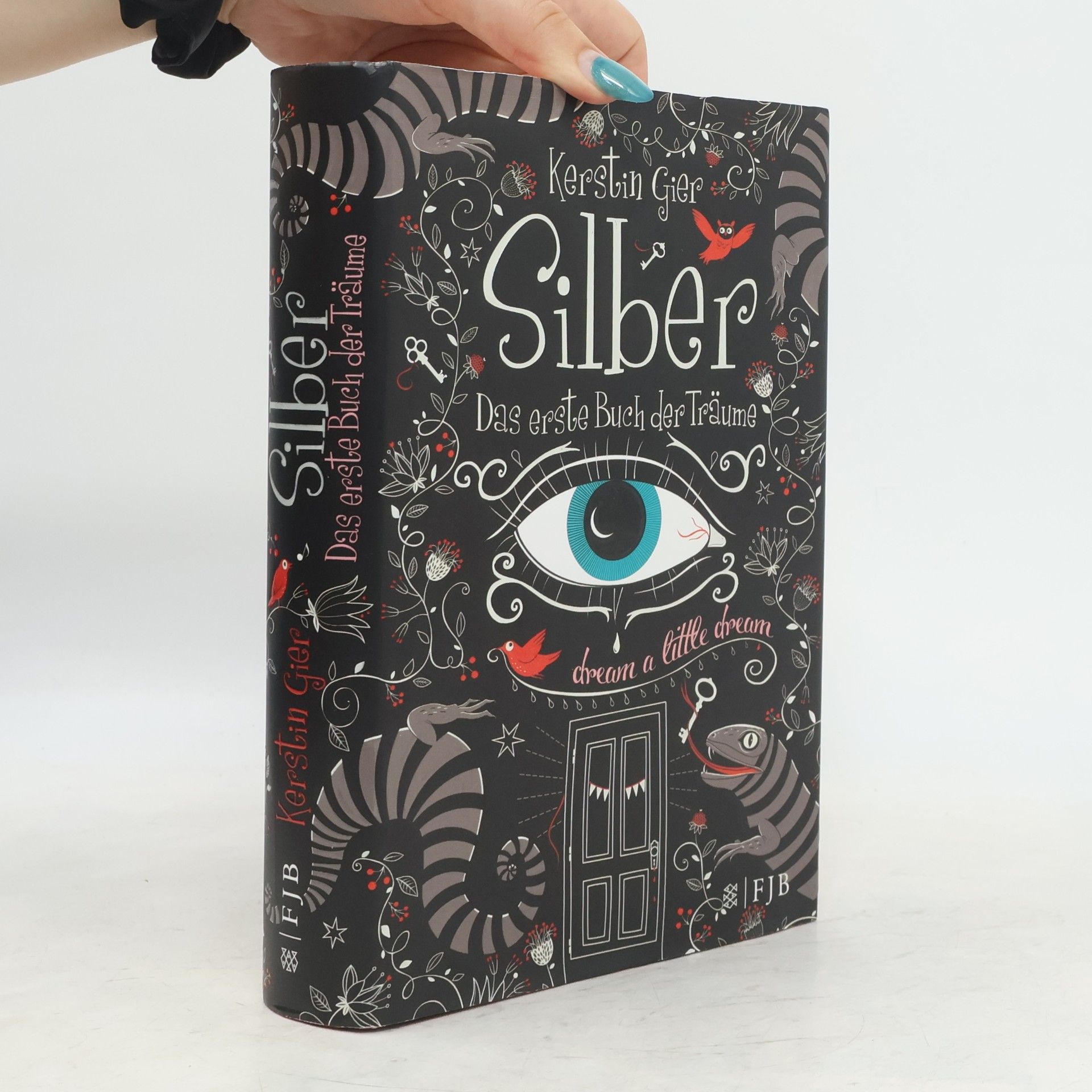 Kerstin Gier Silber - Das erste Buch der Träume