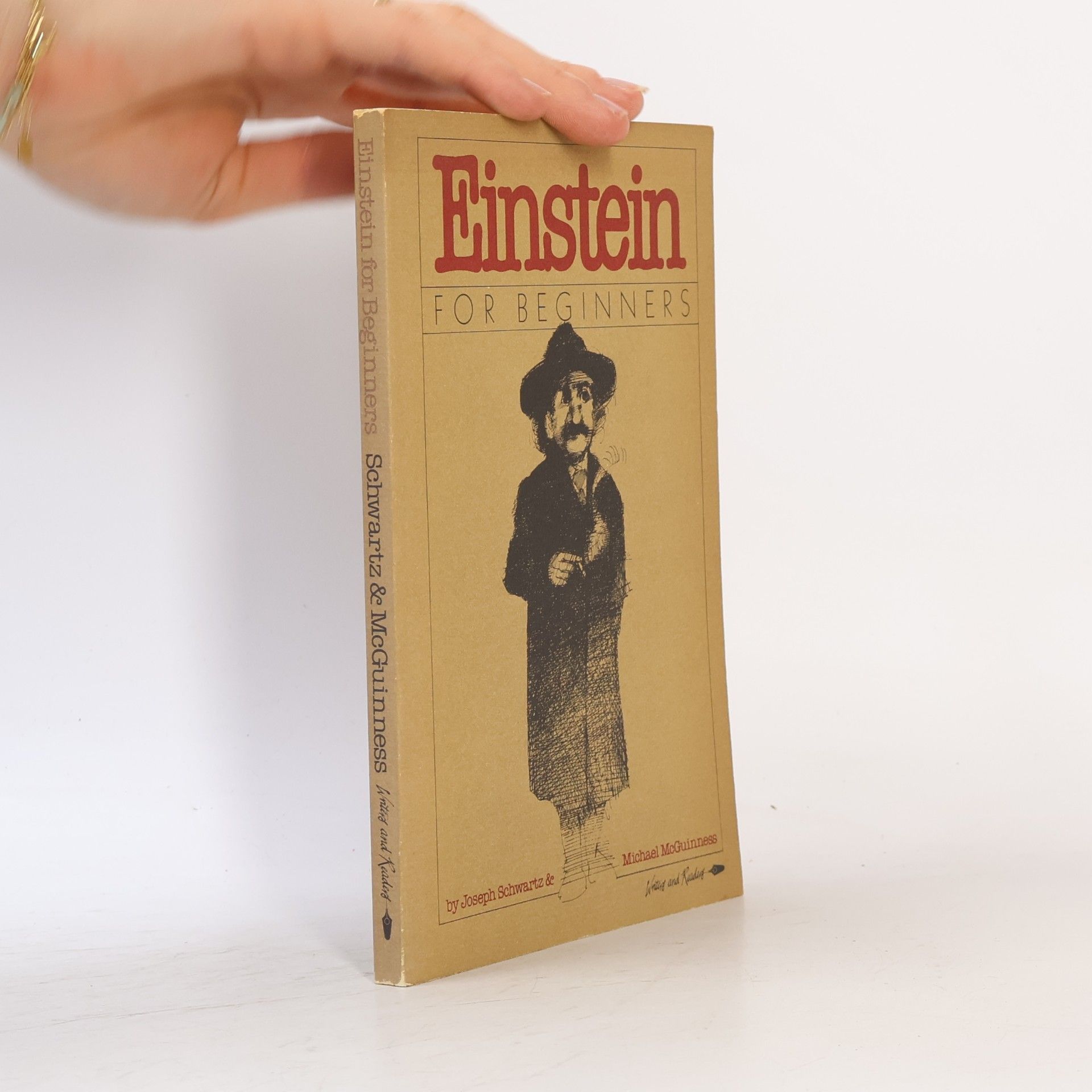 Joseph Schwartz Einstein For Beginners