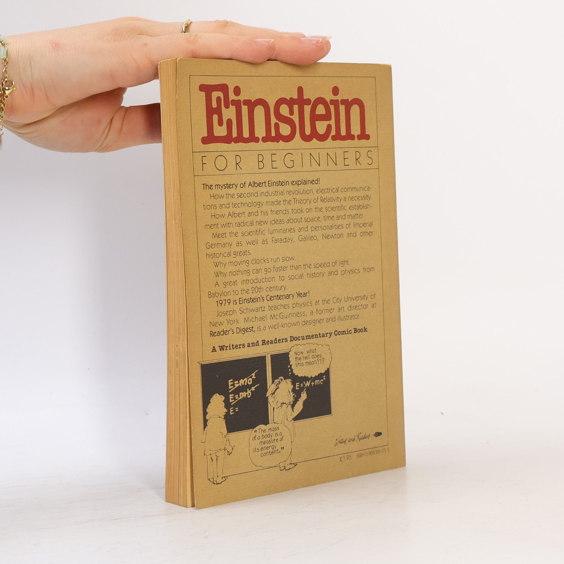 Joseph Schwartz Einstein For Beginners