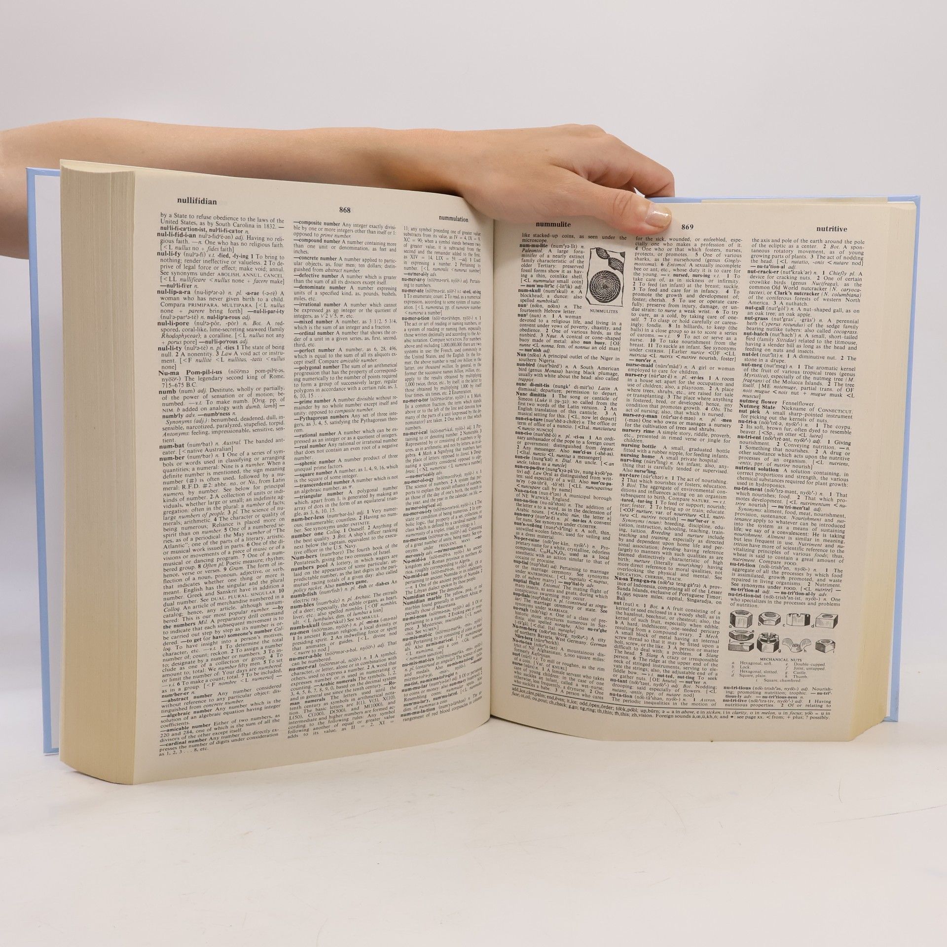 The international Webster's comprehensive dictionary of the English language