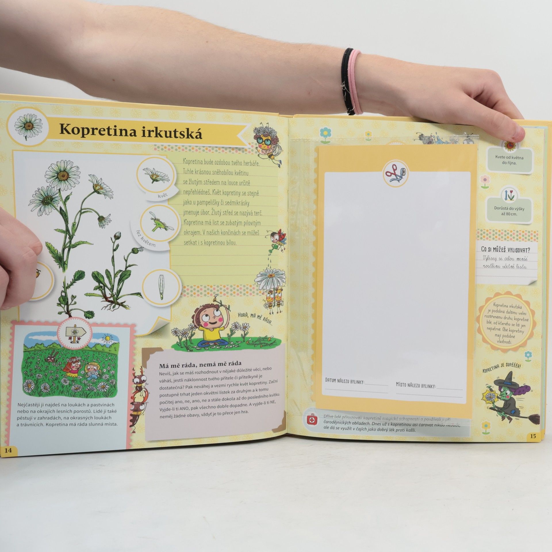 Oldřich Růžička Herbář pro děti