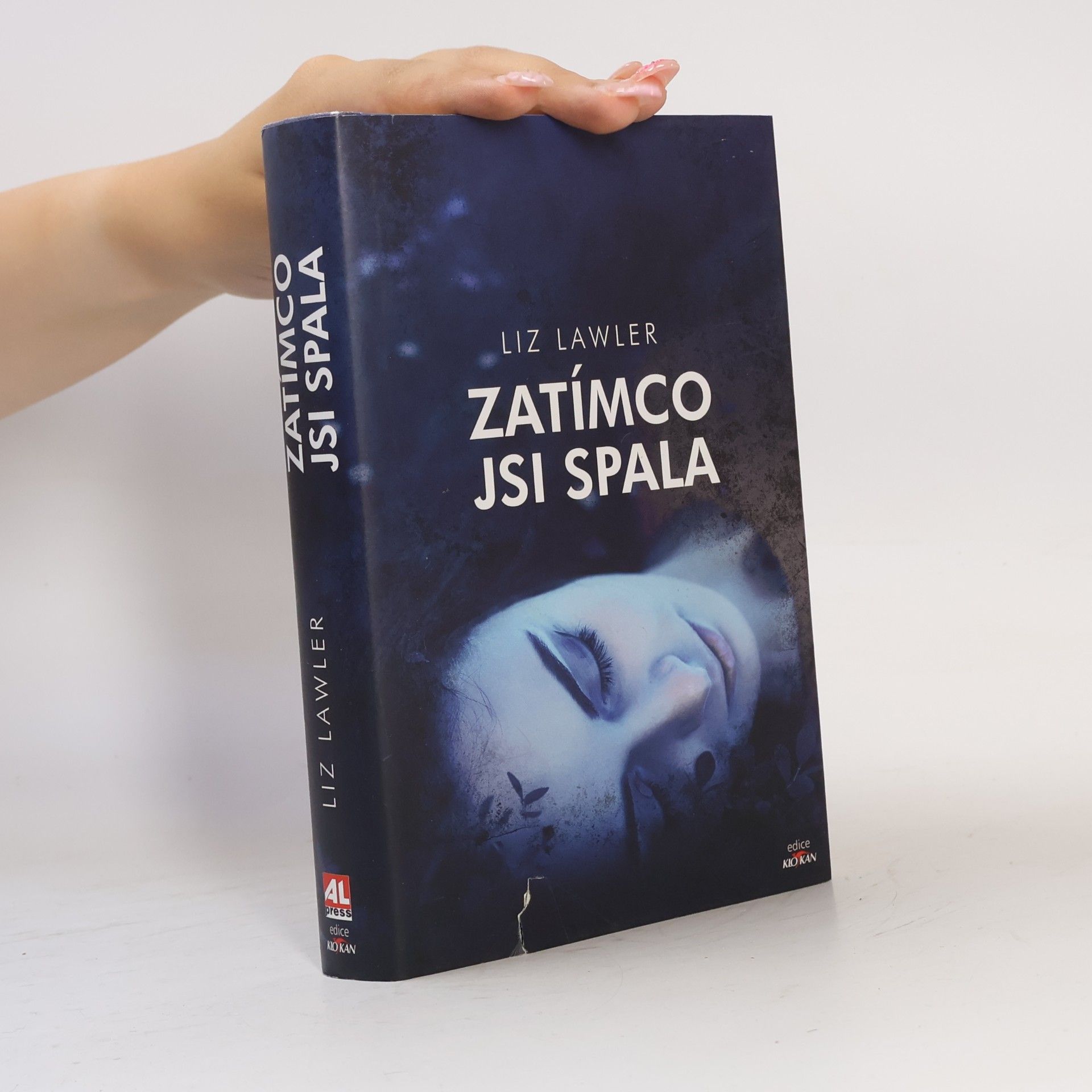 Liz Lawler Zatímco jsi spala