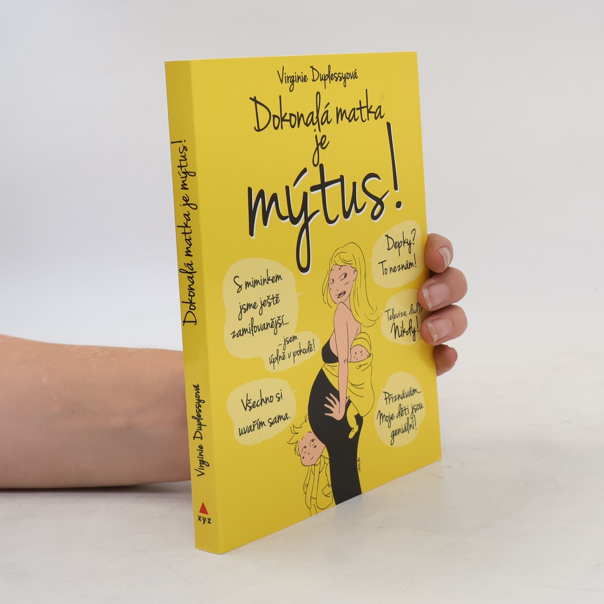 Virginie Duplessy Dokonalá matka je mýtus! Dosud nezveřejněná pravda o nelítostném údělu matek