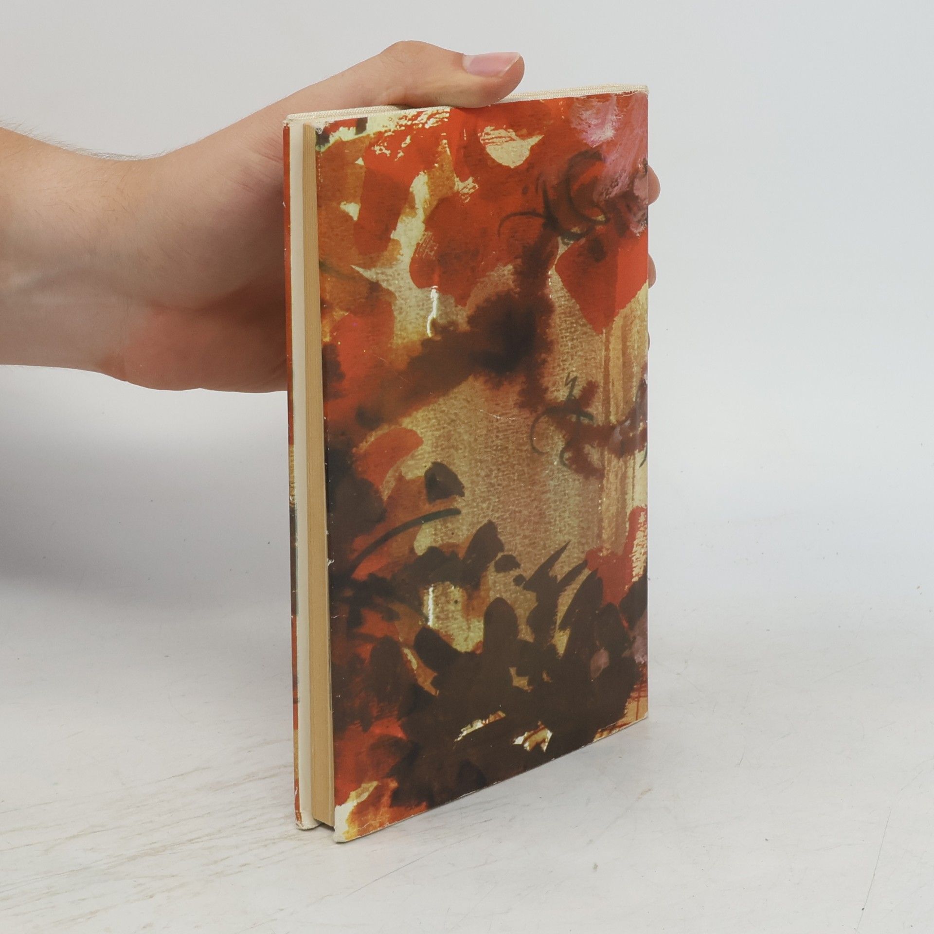 Miloslav Stingl Das Indianische Feuer
