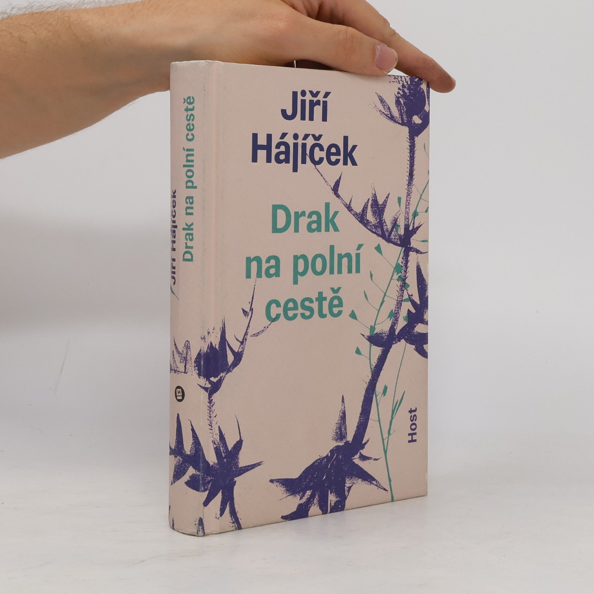 Jiří Hájíček Drak na polní cestě