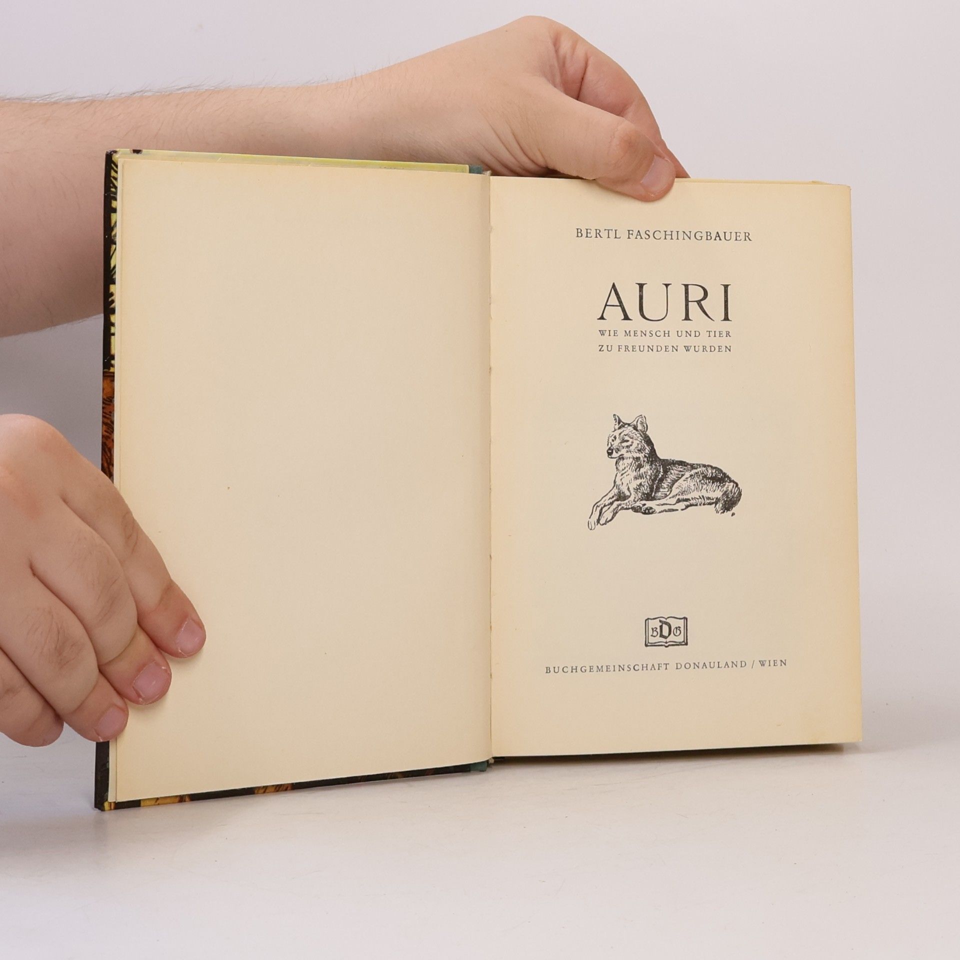 Bertl Faschingbauer Auri