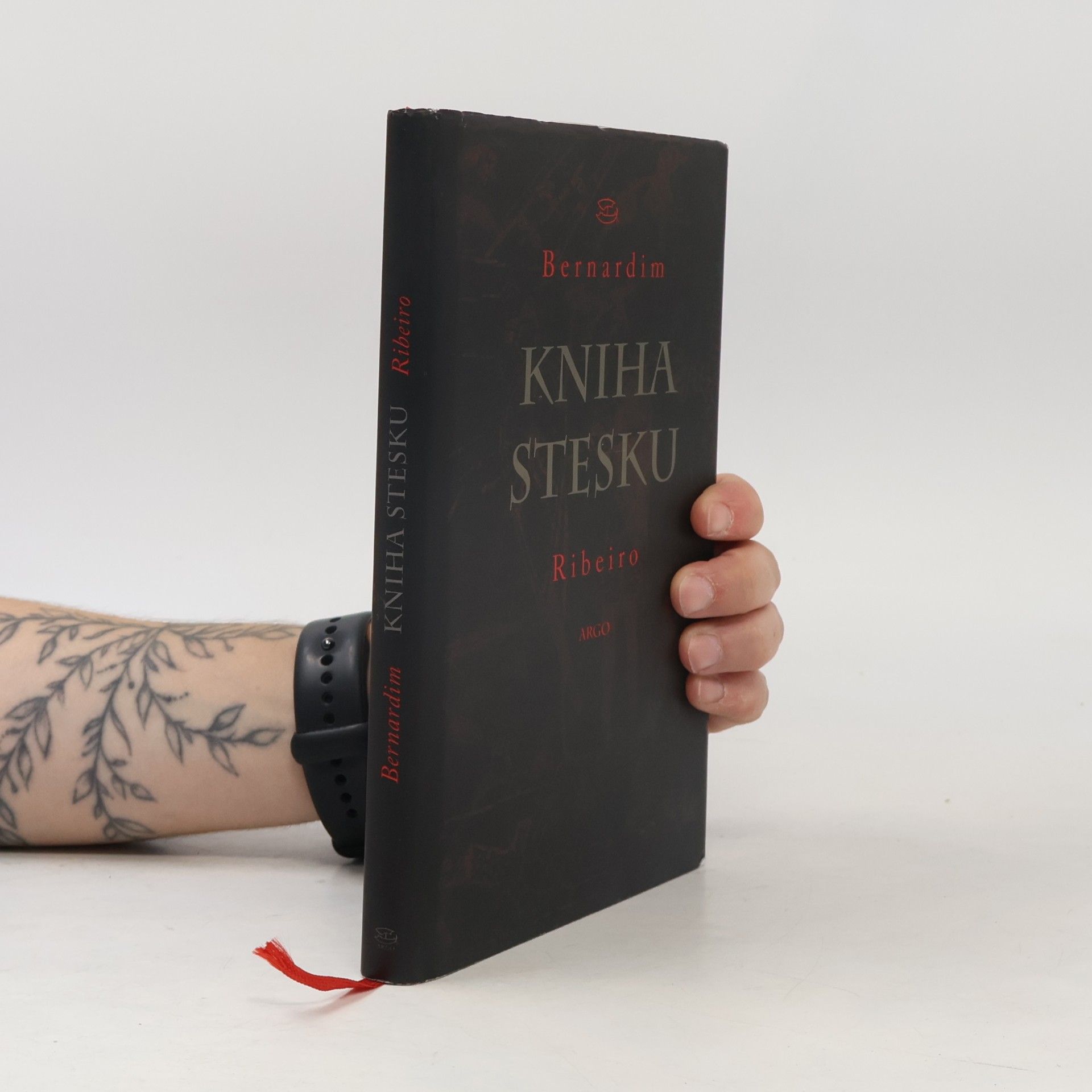 Bernardim Ribeiro Kniha stesku