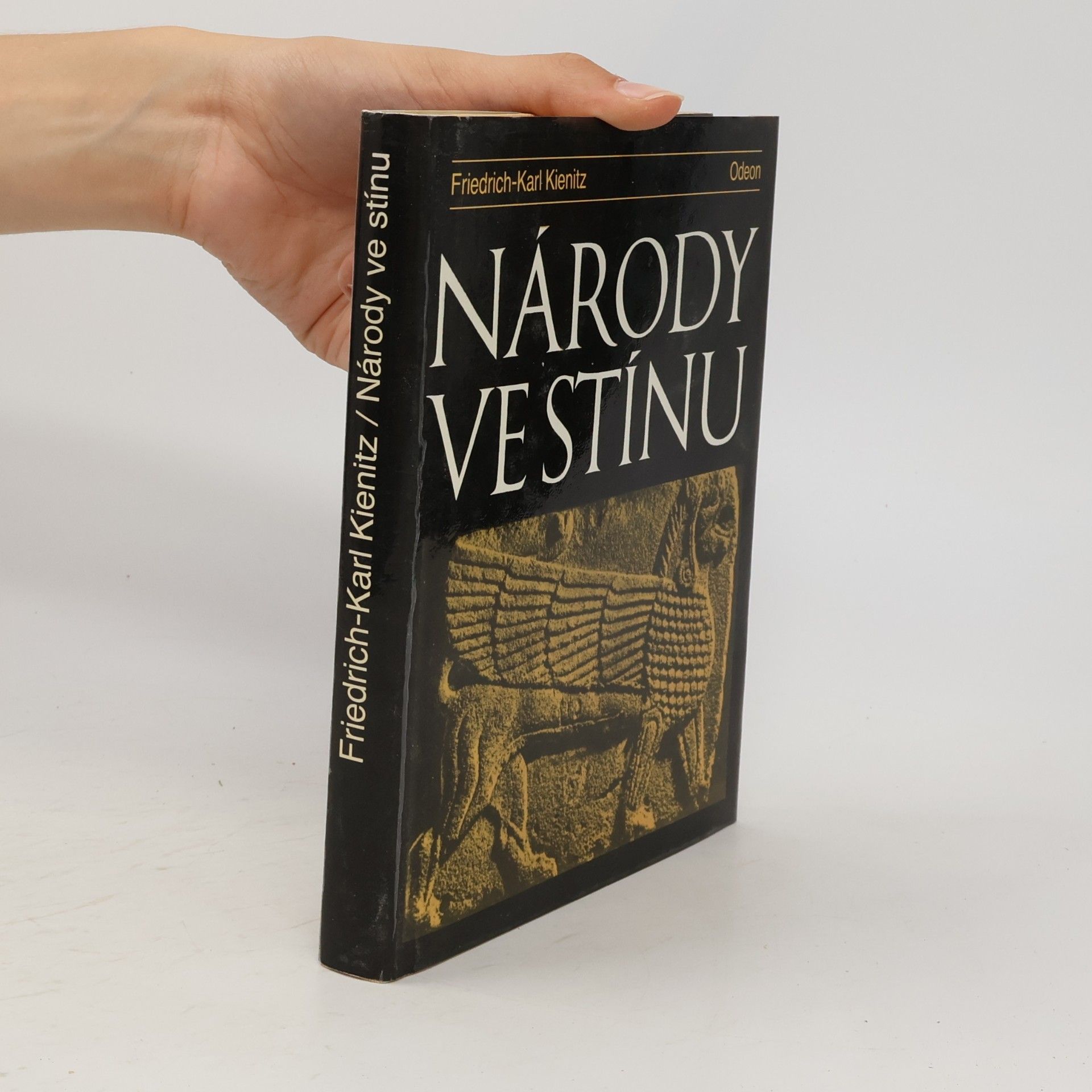Friedrich Karl Kienitz Národy ve stínu