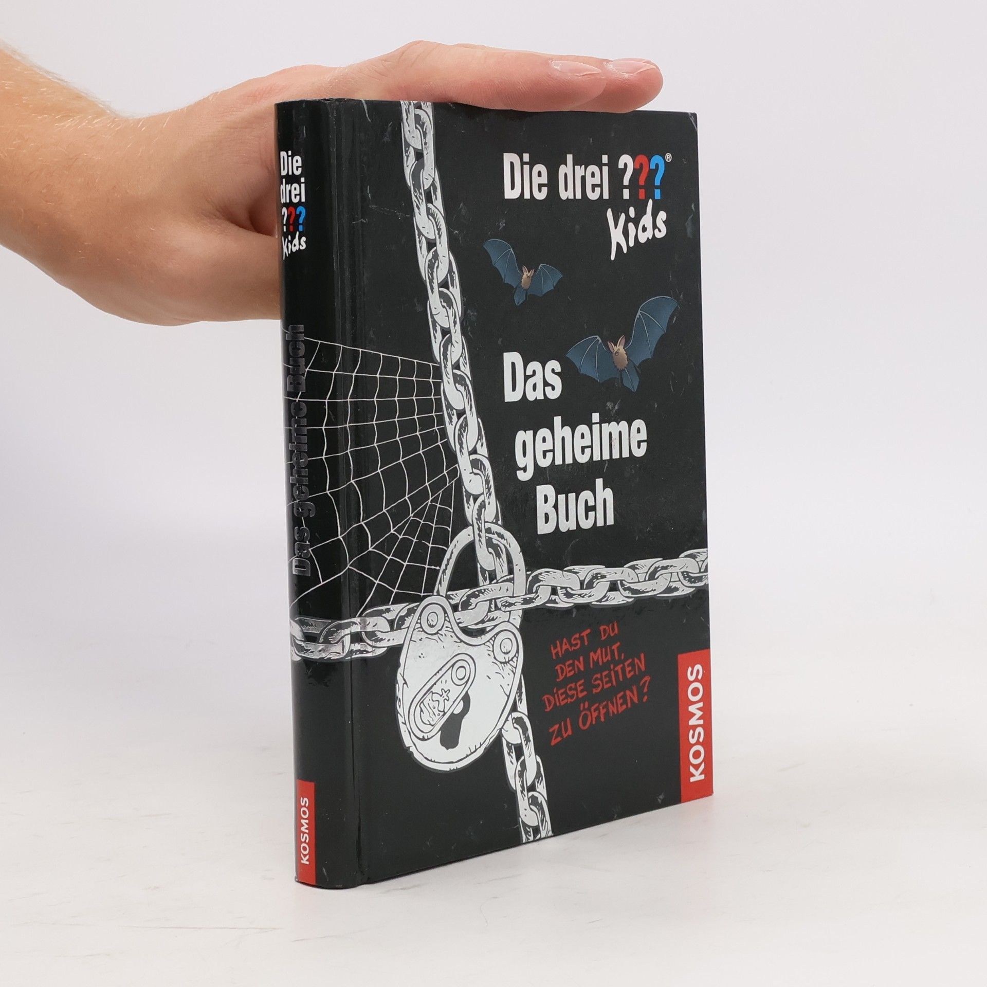 Ulf Blanck Das Geheime Buch