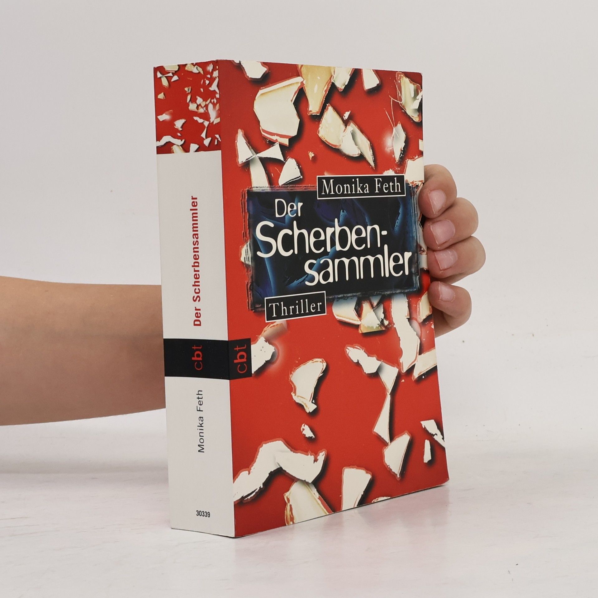 Monika Feth Der Scherbensammler