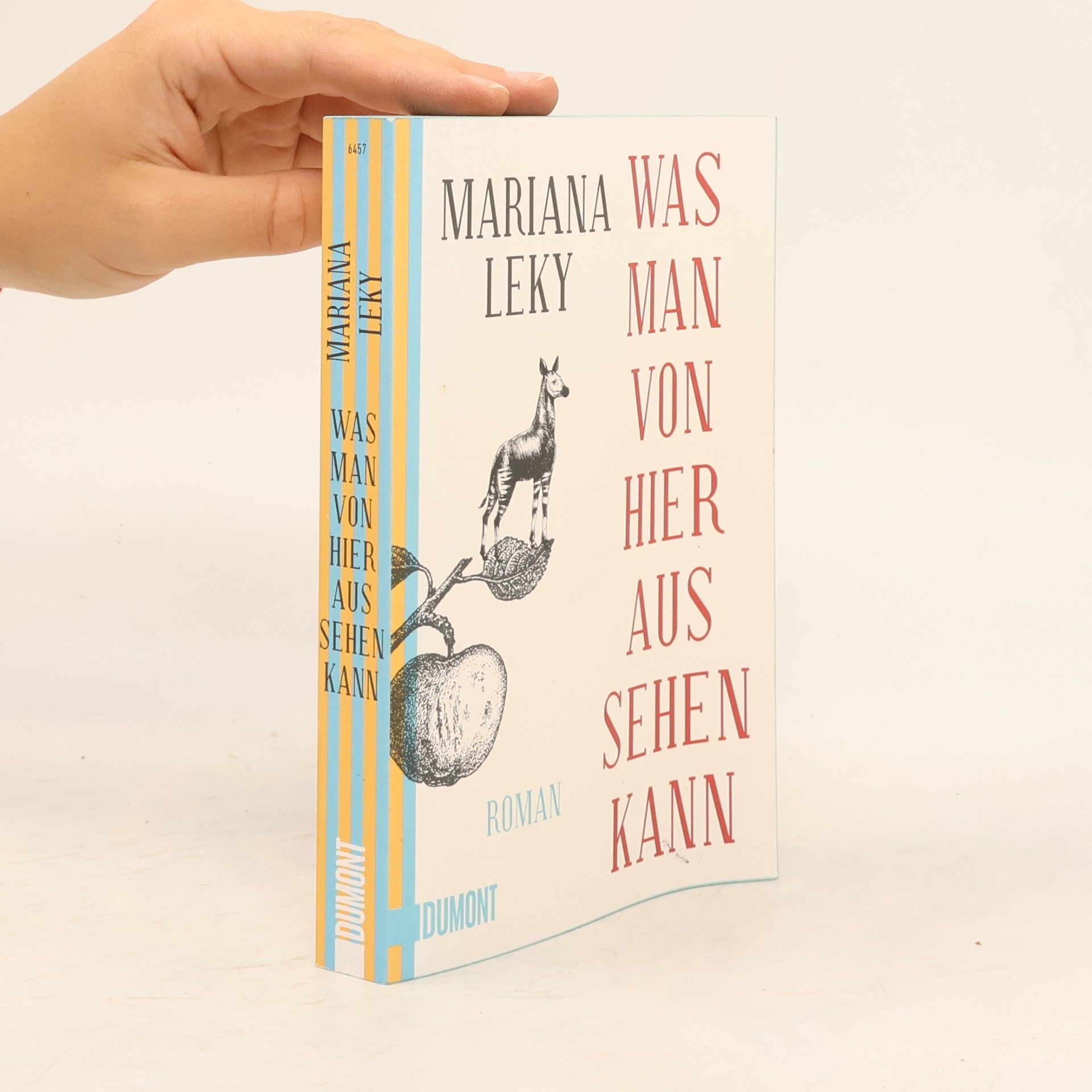 Mariana Leky Was man von hier aus sehen kann