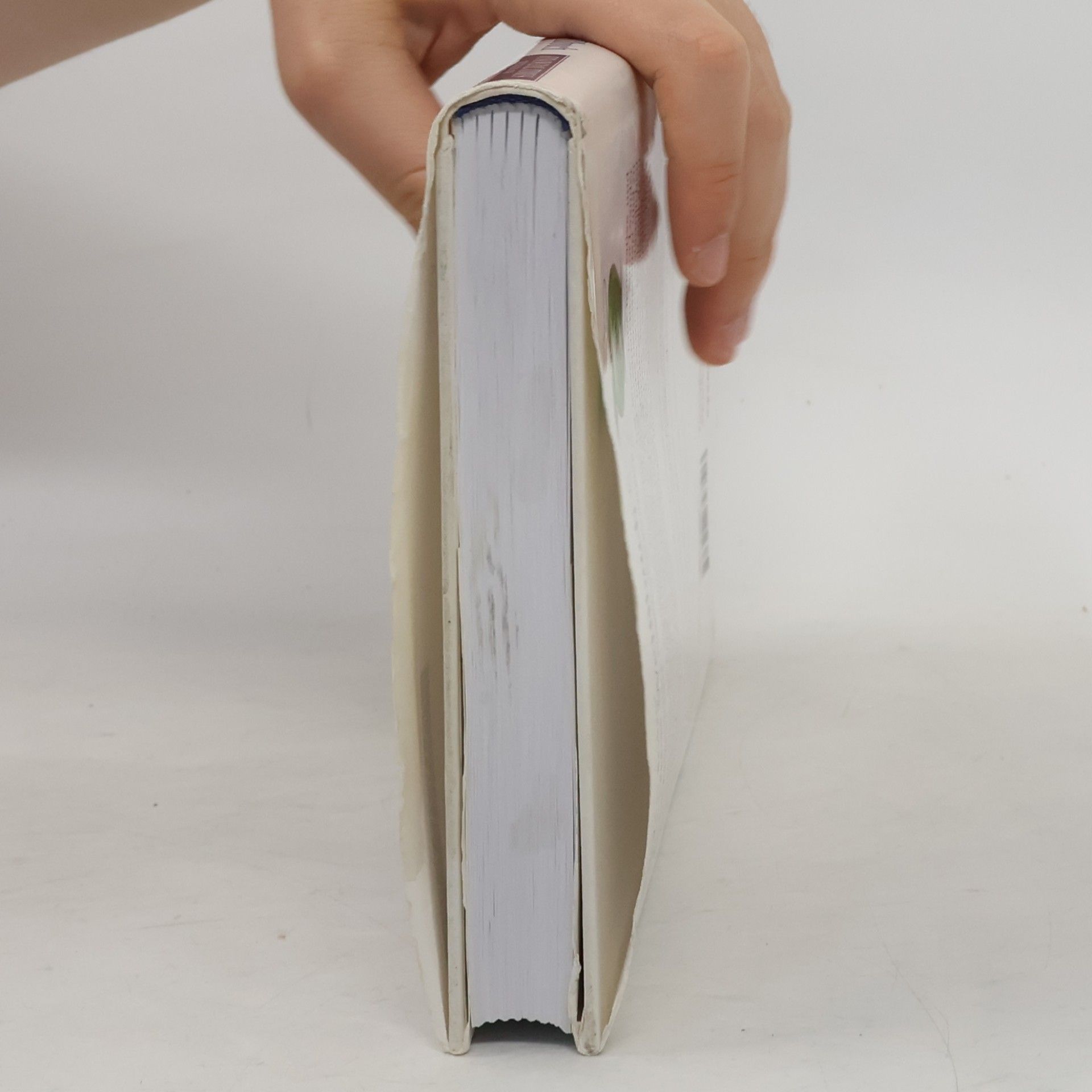 Leander Kahney Steve Jobs' kleines Weißbuch